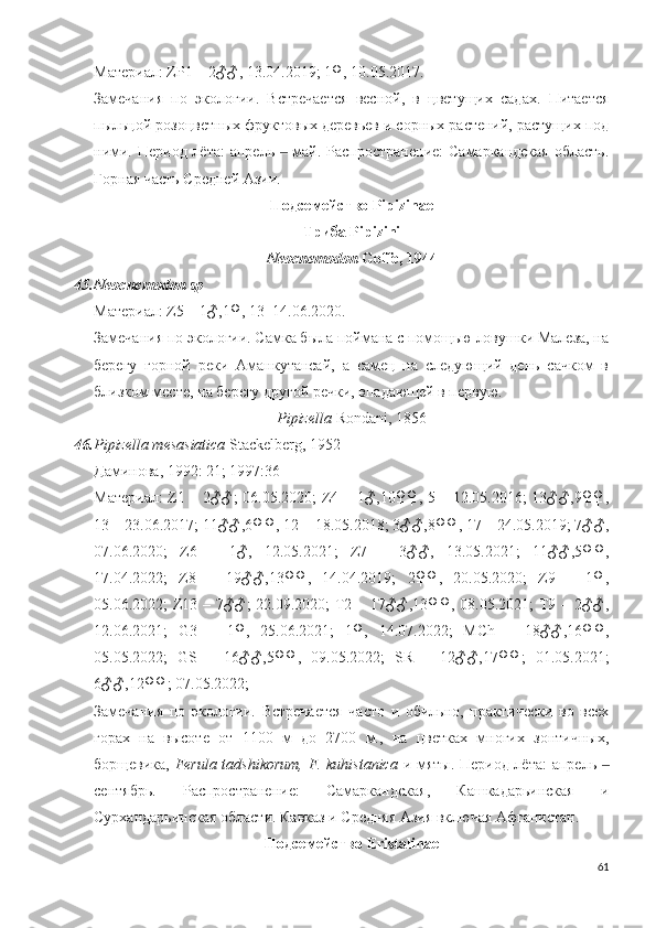 Материал: ZP1 – 2♂♂, 13.04.2019; 1♀, 10.05.2017. 
Замечания   по   экологии.   Встречается   весной,   в   цветущих   садах.   Питается
пыльцой розоцветных фруктовых деревьев и сорных растений, растущих под
ними. Период лёта: апрель   май. Распространение:  Самаркандская  область.‒
Горная часть Средней Азии.
Подсемейство Pipizinae
Триба Pipizini
Neocnemodon  Goffe, 1944
45. Neocnemodon sp 
Материал: Z5 – 1♂,1♀, 13–14.06.2020.
Замечания по экологии. Самка была поймана с помощью ловушки Малеза, на
берегу   горной   реки   Аманкутансай,   а   самец   на   следующий   день   сачком   в
близком месте, на берегу другой речки, впадающей в первую.   
Pipizella  Rondani, 1856
46. Pipizella mesasiatica  Stackelberg, 1952
Даминова, 1992: 21; 1997:36
Материал: Z1 – 2♂♂; 06.05.2020; Z4 – 1♂,10♀♀, 5 – 12.05.2016; 13♂♂,9♀♀,
13 – 23.06.2017; 11♂♂,6♀♀, 12 – 18.05.2018; 3♂♂,8♀♀, 17 – 24.05.2019; 7♂♂,
07.06.2020;   Z6   –   1♂,   12.05.2021;   Z7   –   3♂♂,   13.05.2021;   11♂♂,5♀♀,
17.04.2022;   Z8   –   19♂♂,13♀♀,   14.04.2019;   2♀♀,   20.05.2020;   Z9   –   1♀,
05.06.2022; Z13 – 7♂♂; 22.09.2020; T2 – 17♂♂,13♀♀, 08.05.2021; T9 – 2♂♂,
12.06.2021;   G3   –   1♀,   25.06.2021;   1♀,   14.07.2022;   MCh   –   18♂♂,16♀♀,
05.05.2022;   GS   –   16♂♂,5♀♀,   09.05.2022;   SR   –   12♂♂,17♀♀;   01.05.2021;
6♂♂,12♀♀; 07.05.2022; 
Замечания   по   экологии.   Встречается   часто   и   обильно,   практически   во   всех
горах   на   высоте   от   1100   м   до   2700   м.,   на   цветках   многих   зонтичных,
борщевика,   Ferula tadshikorum, F. kuhistanica   и мяты. Период лёта:  апрель 	
‒
сентябрь.   Распространение:   Самаркандская,   Кашкадарьинская   и
Сурхандарьинская области. Кавказ и Средняя Азия включая Афганистан. 
Подсемейство Eristalinae
61 