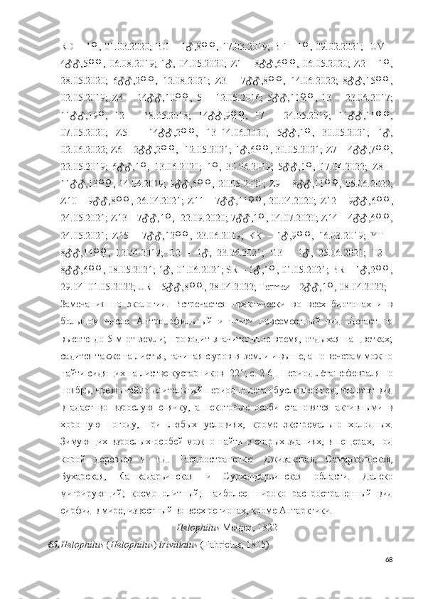 RD – 1♀, 01.03.2020;   BG – 1♂,8♀♀, 17.03.2019;   BF – 1♀, 09.02.2021;     UV –
4♂♂,5♀♀,   06.08.2019;   1♂,   04.05.2020;   Z1   –   8♂♂,6♀♀,   06.05.2020;   Z2   –   1♀,
28.05.2020;   6♂♂,2♀♀,   12.08.2021;   Z3   –   7♂♂,8♀♀,   14.06.2022;   8♂♂,15♀♀,
02.05.2019;   Z4   –   14♂♂,10♀♀,   5   –   12.05.2016;   5♂♂,11♀♀,   13   –   23.06.2017;
11♂♂,19♀,   12   –   18.05.2018;   14♂♂,9♀♀,   17   –   24.05.2019;   11♂♂,11♀♀,
07.05.2020;   Z5   –   14♂♂,2♀♀,   13–14.06.2020;   5♂♂,1♀,   30.05.2021;   1♂,
02.06.2022;   Z6 – 2♂♂,2♀♀,   12.05.2021; 1♂,6♀♀, 30.05.2021; Z7 – 4♂♂,7♀♀,
22.05.2019;   6♂♂,1♀,   13.06.2020;   1♀,   30.06.2019;   5♂♂,1♀,   17.04.2022;   Z8   –
11♂♂,13♀♀, 14.04.2019;  9♂♂, 6♀♀,   20.05.2020;  Z9 – 8♂♂,11♀♀, 05.06.2022;
Z10 – 9♂♂,8♀♀, 26.04.2021;  Z11 – 7♂♂,11♀♀, 20.04.2020;   Z12 – 9♂♂, 6♀♀,
24.05.2021; Z13 – 7♂♂,1♀,  22.09.2020; 7♂♂,1♀, 04.07.2020;  Z14 – 4♂♂,6♀♀,
24.05.2021;   Z15   –   7♂♂,12♀♀,   23.06.2019;   KK   –   1♂,9♀♀,   16.03.2019;   YT   –
8♂♂,14♀♀,   02.04.2019;   G2   –   1♂,   23.06.2021;   G3   –   1♂,   25.06.2021;   T2   –
8♂♂, 6♀♀,  08.05.2021;  1♂, 01.06.2021;  SR – 1♂,1♀, 01.05.2021; BR – 1♂,2♀♀,
29.04–01.05.2022; UR – 5♂♂,8♀♀, 28.04.2022; Termez – 2♂♂,1♀, 08.04.2022;
Замечания   по   экологии.   Встречается   практически   во   всех   биотопах   и   в
большом   числе.   Антропофильный   и   почти   повсеместный   вид.   Летает   на
высоте   до   5   м   от   земли;   проводит   значительное   время,   отдыхая   на   цветках;
садится также на листья, начиная с уровня земли и выше, а по вечерам можно
найти сидящих на листве кустарников  [221; c. 2-6] . Период лёта: с февраля по
ноябрь, чрезвычайно длительный период полета обусловлен тем, что этот вид
впадает   во   взрослую   спячку,   а   некоторые   особи   становятся   активными   в
хорошую   погоду,   при   любых   условиях,   кроме   экстремально   холодных.
Зимующих взрослых особей можно найти в старых зданиях, в пещерах, под
корой   деревьев   и   т.д.   Распространение:   Джизакская,   Самаркандская,
Бухарская ,   Кашкадарьинская   и   Сурхандарьинская   области.   Далеко
мигрирующий;   космополитный;   наиболее   широко   распространенный   вид
сирфид в мире, известный во всех регионах, кроме Антарктики. 
Helophilus  Meigen, 1822
65. Helophilus  ( Helophilus )  trivittatus   (Fabricius, 1805)
68 