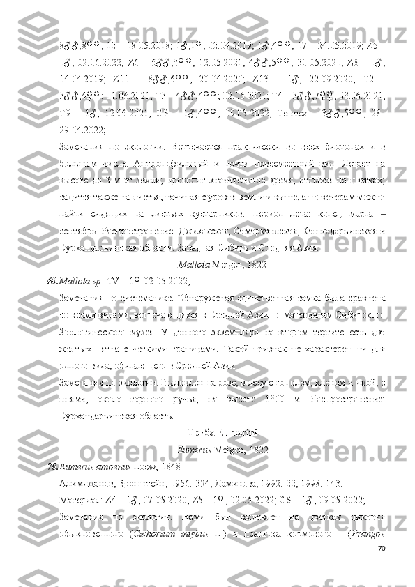 8♂♂,8♀♀, 12 – 18.05.2018; 1♂,1♀, 02.04.2019; 1♂,4♀♀, 17 – 24.05.2019; Z5 –
1♂,   02.06.2022;   Z6   –   6♂♂,3♀♀,   12.05.2021;   4♂♂,5♀♀;   30.05.2021;   Z8   –   1♂,
14.04.2019;   Z11   –   8♂♂,6♀♀,   20.04.2020;   Z13   –   1♂,   22.09.2020;   T2   –
3♂♂,4♀♀; 01.06.2021; T3 – 4♂♂,4♀♀; 02.06.2021; T4 – 3♂♂,7♀♀, 03.06.2021;
T9   –   1♂,   12.06.2021;   GS   –   1♂,4♀♀;   09.05.2022;   Termez   –   3♂♂,5♀♀;   28–
29.04.2022;
Замечания   по   экологии.   Встречается   практически   во   всех   биотопах   и   в
большом   числе.   Антропофильный   и   почти   повсеместный   вид.   Летает   на
высоте   до   3   м   от   земли;   проводит   значительное   время,   отдыхая   на   цветках;
садится также на листья, начиная с уровня земли и выше, а по вечерам можно
найти   сидящих   на   листьях   кустарников.   Период   лёта:   конец   марта  ‒
сентябрь. Распространение: Джизакская, Самаркандская, Кашкадарьинская и
Сурхандарьинская области.   Западная Сибирь и Средняя Азия.
Mallota  Meigen, 1822
69. Mallota sp.  TV – 1♀ 02.05.2022;
Замечания по   систематике .   Обнаруженая единственная самка   была сравнена
со всеми видами, встречающихся в Средней Азии по материалам Сибирского
Зоологического   музея.   У   данного   экземпляра   на   втором   тергите   есть   два
желтых   пятна   с   четкими   границами.   Такой   признак   не   характерен   ни   для
одного вида, обитающего в Средней Азии.
Замечания по экологии. Выловлен на розе, в лесу с тополем, кленом и ивой, с
пнями,   около   горного   ручья,   на   высоте   1300   м.   Распространение:
Сурхандарьинская область.
Триба  Eumerini
Eumerus  Meigen, 1822
70. Eumerus amoenus  Loew, 1848
Алимджанов, Бронштейн, 1956: 324; Даминова, 1992: 22; 1998: 143.
Материал: Z4 – 1♂, 07.05.2020 ;  Z5 –  1 ♀, 02.06.2022; GS – 1♂, 09.05.2022;
Замечания   по   экологии.   Нами   был   выловлен   на   цветках   цикория
обыкновенного   ( Cichorium   intybus   L.)   и   прангоса   кормового   –   ( Prangos
70 