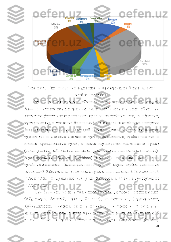 Paragini
10%	Baccini
3%	
Syrphini
33%	
Pipizini
3%	
Brachiopini	
7%	
Ceriodini	
3%	
Eristalini
11%	
Eumerini
22%	
Milesini
3%	
Xylotini
1%	Cheilosini	
4%	
Volucellini	
1%Рисунок 4.1 Распределение видов фауны мух-журчалок Зеравшанского
хребта по трибам.
Тугаи   ‒   это   уникальные   пойменные   леса ,   характерные   для   Средней
Азии. В широком  смысле тугаи включают в себя  весь  комплекс пойменных
экосистем   (тростниково-рогозовые   заросли,   галерейные   леса,   галофитные,
кустарниковые   и   травяные   биоценозы)   и   являются   важнейшими   центрами
биоразнообразия аридных территорий. В составе растительности выделяются
туранговые   и   лоховые   древесные   тугаи,   облепиховые,   гребенщиковые   и
ивовые   кустарниковые   тугаи,   а   также   группировки   травянистых   тугаев
(эриантусовые, вейниковые, рогозово-тростниковые, солодковые, янтачные).
Мухи-журчалки   ( Diptera,   Syrphidae )   являются   заметными   элементами
тугайных   экосистем.   Целенаправленное   изучение   фауны   сирфид   равнинных
территорий  Узбекистана,  в  том  числе   тугаев,   был  проведен  Д.Б.  Даминовой
[179; c. 17-20]. Она указывает для тугаев Узбекистана 36 видов мух-журчалок
[177; c. 61-62].  
Нами были исследованы тугаи реки Зеравшан, а также по берегам  озер
(Айдарькуль,   Арнасай,   Тузкан,   Соленое),   водохранилищ   (Тудакульское,
Куйимазарское,   Чимкурганское)   многочисленных   речек   и   оросительных
каналов. Всего  были выловлены   мухи сирфиды 36 видов,  относящихся  к 19
родам.   Только   в   тугаях   встречаются   5   видов:   Chrysotoxum   festivum,
90 