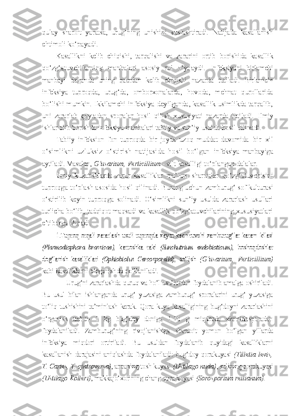 qulay   sharoit   yaratsa,   urug‘ning   unishini   suslashtiradi.   Natijada   kasallanish
ehtimoli ko‘payadi.
Kasallikni   kelib   chiqishi,   tarqalishi   va   zararini   ortib   borishida   kasallik
qo‘zg‘atuvchilarning   manbalari   asosiy   rol   o‘ynaydi.   Infeksiyani   birlamchi
manbayi   deganda   uning   qaerdan   kelib   chiqishi   nazarda   tutiladi.   Birlamchi
infeksiya   tuproqda,   urug‘da,   omborxonalarda,   hovoda,   mehnat   qurollarida
bo‘lishi  mumkin.   Ikkilamchi   infeksiya   deyilganda, kasallik   usimlikda tarqalib,
uni   zararlab   qaytadan   sporalar   hosil   qilish   xususiyati   nazarda   tutiladi.   Ilmiy
ishlar olib borishda infeksiya manbalari tabiiy va sun’iy  usulda hosil qilinadi.
Tabiiy   infeksion   fon   tuproqda   bir   joyda   uzoq   muddat   davomida   bir   xi l
o‘sim li kni   uzl uksi z   o‘ st ir ish   natij asida   hosil   bo‘l gan   infeksiya   manbayiga
aytiladi. Masalan,  G‘usarium, Verticillium  - vilt  kasalligi to‘plangan dalalar.
Ilmiy   kuzatishlarda   zarur   kasalliklar   ma’lum   sharoitlar   qo‘zg‘atuvchisini
tuproqga to‘plash asosida hosil qilinadi. Buning uchun   zamburug‘ sof kulturasi
o‘stirilib   keyin   tuproqga   solinadi.   O‘simlikni   sun’iy   usulda   zararlash   usullari
turlicha bo‘lib, tadqiqot maqsadi va kasallik qo‘zg‘atuvchilarining xususiyatlari
e’tiborga olinadi. 	
1.Tuproq  orqali   zararlash   usuli  tuproqda   xayot  kechiruvchi  zamburug‘lar   karam  kilasi	
(Plasmodiophora   brassicae),  	kartoshka   raki	  (Sunchutrium   endobioticum)	,   boshoqdoshlar	
dog‘lanish   kasalliklari  	(Ophiobiolus   Cercosporella	),   so‘lish
  (G‘usarium,   Verticillium)
kabi kasaliklarni o‘rganishda qo‘llaniladi.
      Urug‘ni zararlashda quruq va ho‘l usullardan foydalanib amalga oshiriladi.
Bu   usul   bilan   ishlanganda   urug‘   yuzasiga   zamburug‘   sporalarini   urug‘   yuzasiga
to‘liq   tushishini   ta’minlash   kerak.   Qora   kuya   kasalligining   bug‘doyni   zararlashini
o‘rganish   uchun   1   kg   bug‘doy   doniga   1-10   g   miqdorda   xlamidosporadan
foydalaniladi.   Zamburug‘ning   rivojlanishiga   sharaoit   yomon   bo‘lgan   yillarda
infeksiya   miqdori   ortiriladi.   Bu   usuldan   foydalanib   quyidagi   kasalliklarni
kasallanish   darajasini   aniqlashda   foydalaniladi:   bug‘doy   qorakuyasi   (Tilletia   levis,
T. Caries, T. cjntroversa) , arpaning tosh kuyasi  (Ustilago nuda) , sulining qorakuyasi
(Ustilago Kolleri) , makkajo‘xorining chang qora kuyasi  (Sorosporium reilianum). 