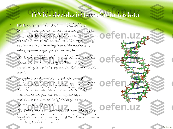 DNK- dezoksiribonuklein	 kislota	 
•
DNK qo’sh spiral. DNK molekulasi bir-
birining atrofida spiral bo’lib buralgan ikkita 
zanjirdan iborat. DNK qo’sh spirali o’rtasidagi 
masofa 2 nm atrofida bo’ladi. Uning uzunligi 
esa bir necha o’n ming hatto bir necha yuz 
ming nanometrga yetishi mumkin. 
•
DNK spiralidagi qo’shni nukleotidlar orasida 
masofa 0.34 nm ga teng bo’ladi. DNK 
spiralining bitta to’la aylanishi 3.4 nmni tashkil 
etadi. 
•
Eng yirik oqsil molekulalari birlamchi 
strukturasida ko’pi bilan 100-200 nm bo’lishi 
mumkin. Bundan ko’rinib turibdiki DNK 
molekulasida yuzlab va minglab oqsil 
molekulalari sintezi to’g’risidagi axborot 
ketma - ket joylashadi. 
•
DNKning molekulyar massasi ham nihoyatda 
katta bo’lib – bir necha ming va hatto bir necha 
millionga yetishi mumkin. 