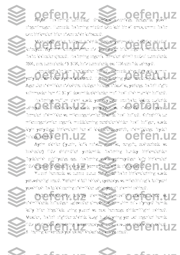 Fosfor.   Fosforning   tuproqdagi   dinamikasi   azotnikiga   qaraganda   yaxshi
o‘rganilmagan. Tuproqda fosforning miqdori azot kabi bir xil emas, ammo fosfor
azot birikmalari bilan o‘zaro ta’sir ko‘rsatadi.
Mikroorganizmlar   faoliyati   ta’sirida   tuproq   yeritmasida   fosforlar   miqdori
ko‘payadi.   Ayrim   mikroorganizmlar   o‘z   fyermentlari   bilan   organik   moddalardan
fosfot   kislotalar   ajratadi.   Fosforning   organik   formalari   chimli-podzol   tuproqlarda
25%, qora tuproqlarda 45 - 50%, bo‘z tuproqlarda esa 10% atrofida uchraydi.
Tuproqda   fosfor   kam   harakatchan   bo‘ladi,   tuproqda   singadi,   suvda   yomon
yeriydi,   o‘simliklar   qiyin   o‘zlashtiradi.   Tuproqda   uning   yalpi   miqdori   juda   ko‘p.
Agar ular o‘simliklar o‘zlashtira oladigan holatga o‘tkazilsa, yerlarga fosforli o‘g‘it
solinmasdan ham 40 - 50 yil davomida ekinlardan mo‘l hosil olish mumkin bo‘lardi.
Fosforning   ma’lum   qismi   suvda   yerimaydigan   ortofosfat   kislota   tuzlarida
uchraydi.   Bu   birikmalarning   suvda   yeriydigan   va   o‘simliklar   uchun   yaroqli
formalari   o‘simliklar   va   mikroorganizmlar   ta’sirida   hosil   bo‘ladi.   Ko‘pchilik   tur
mikroorganizmlar   organik   moddalarning   parchalanishidan   hosil   bo‘lgan,   suvda
kiyin   yeriydigan   birikmalarni   har   xil   kislotalarda   yeritib,   o‘simliklarga   foydali
holatga keltiradi.
Ayrim   ekinlar   (lyupin,   ko‘k   no‘xat,   grechixa,   rango‘t,   qashqarbeda   va
boshqalar)   ildiz   chiqindilari   yordamida   fosforning   bunday   birikmalaridan
foydalanish   qobiliyatiga   ega.   Fosforning   suvda   yerimaydigan   ko‘p   birikmalari
ildizlar ajratib chiqargan kislota va fyermentlar ta’sirida o‘zlashtiriladi.
YUqori   haroratda   va   tuproq   quruq   bo‘lganda   fosfor   birikmalarining   suvda
yeruvchanligi ortadi. Yerlarni sifatli ishlash, ayeratsiya va mikrobiologi k  faoliyatni
yaxshilash fosfat kislotaning o‘simliklar uchun yaroqli qismini oshiradi.
Fosfor   o‘simlikning   tarkibiy   qismi   bo‘lib,   oqsillar   tarkibiga   kiradi   va
o‘simliklarda   bo‘ladigan   uglevodlar   almashinuvida   muhim   rol ь   o‘ynaydi   hamda
kaliy   bilan   birgalikda   uning   yuqori   va   past   haroratga   chidamliligini   oshiradi.
Masalan,   fosforli   o‘g‘itlar   ta’sirida   kuzgi   bug‘doyning   yer   usti   organlari   hamda
ildiz   to‘qimalari   shirasining   konsentratsiyasi   ortib,   sovuqqa   chidamliligi   oshadi.
SHiraning konsentratsiyasi asosan shakarlar hisobiga ortadi. 