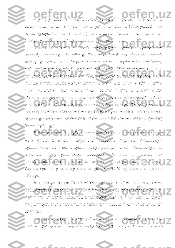 Keyingi   yillarda   o‘simliklarda   oziqlanishning   biologik   usuli   keng   ko‘lamda
tarqalmoqda,   bunda   o‘simliklar   ildizida,   ya’ni   ildiz   atrofida   (rizosfyerada),   ildiz
ichida   (getyerotrof   va   simbiotrof)   oziqlanadigan   tuproq   mikroorganizmlari
(baktyeriyalar, zamburug‘lar)ga katta ahamiyat byerilmoqda.
Dukkakdosh   o‘simliklar   ildizida   rivojlanadigan   tugunak   baktyeriyalardan
tashqari,   tuproqning   oziq   rejimiga   ildiz   mikroflorasi,   suv   o‘tlar   va   tuproqda
yashaydigai   xar   xil   sodda   hayvonlar   ham   ta’sir   etadi.   Ayrim   tadqiqotchilarning
ma’lumotlariga  qaraganda,  ildiz  mikroflorasi  o‘simlik  bilan  chambarchas   aloqada
bo‘lar ekan, uning oziqlanishi o‘simlikka, o‘simlikniki esa mikrofloraga bog‘liqdir.
Bunday   simbioz   usulda   yashash   ko‘pchilik   o‘simliklar   uchun   xosdir.   Ularning
ildizi   oziqlantirish   organi   sifatida   mikroflora   bilan   bog‘liq.   SHu   faktning   o‘zi
o‘simlik ildizi  joylashgan  mintaqada hamma vaqt  mikroorganizmlar  ko‘p bo‘lishi
zarur   ekanligini   bildiradi.   Mikroorganizmlar   tufayli   bu   hayot   faoliyat   jarayonida
tuproqda o‘simliklar o‘zlashtiradigan shakldagi minyeral moddalar to‘plana boradi.
Mikroorganizmlar   esa   oziqlanishida   o‘simliklar   ildizi   ajratgan   chiqindi   (modda)
lardan foydalanadi.
Yerkin   yashovchi   biologik   azot   to‘plovchilardan   azotobaktyer - Aroto - bactyer
va   klostridium - Clostridium   Pastyerianum   chuqurroq   o‘rganilgan.   Azotobaktyer
ayerob,   klostridium   esa   anayerob   baktyeriyalarga   mansub.   Azotobaktyer   va
klostridium   baktyeriyalar   asosan   dukkakdosh   o‘simliklarning   ildizida,   ildiz
rizosfyerasida   va   simbiotik   usulda   oziqlanib,   atmosfyera   azotini   to‘playdi.
Azotobaktyer   bir   yilda   qulay   sharoitda   gektariga   30 - 50   kg   gacha   biologik   azot
to‘playdi. 
Azotobaktyer   ko‘pchilik   o‘simliklarning   ildizi   atrofida   oziqlanadi,   ammo
beda, tamaki va krestguldoshlar ildiz   tizimi   mintaqasida faolroq namo yo n bo‘ladi.
Ayrim   ma’lumotlarga   qaraganda,   azotobaktyer   bug‘doy   ildizi   atrofida   deyarli
rivojlanmaydi, chunki ildiz ajratib chiqaradigan moddalar mikroblar uchun zaharli
ta’sir etadi.
Havodagi   azotning   to‘planish   yo‘llaridan   yana   biri   dukkakdosh   o‘simliklar
ildizida   yashaydigan   tug a nak   baktyeriyalarning   rivojlanishidir.   Tugunak 