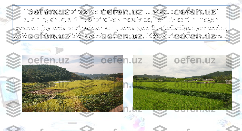 Tekisliklarda sho rxok va sho rxoksimon tuproq uchraydi. Yer osti ʻ ʻ
suvining chuq. 5-6 m. Sho ro zak massivida, hali o zlashtirilmagan 	
ʻ ʻ ʻ
pastqam joylarda sho rxoklar keng tarqalgan. Sug oriladigan yerlarning 	
ʻ ʻ
32% sho rlangan, 25% kuchsiz sho rlangan, 16% sho rxoklardan iborat.	
ʻ ʻ ʻ 