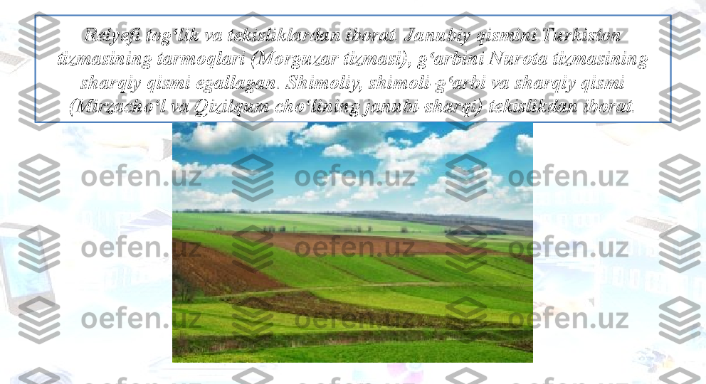 Relyefi tog lik va tekisliklardan iborat. Janubiy qismini Turkiston ʻ
tizmasining tarmoqlari (Morguzar tizmasi), g arbini Nurota tizmasining 	
ʻ
sharqiy qismi egallagan. Shimoliy, shimoli-g arbi va sharqiy qismi 	
ʻ
(Mirzacho l va Qizilqum cho lining janubi-sharqi) tekislikdan iborat.	
ʻ ʻ 