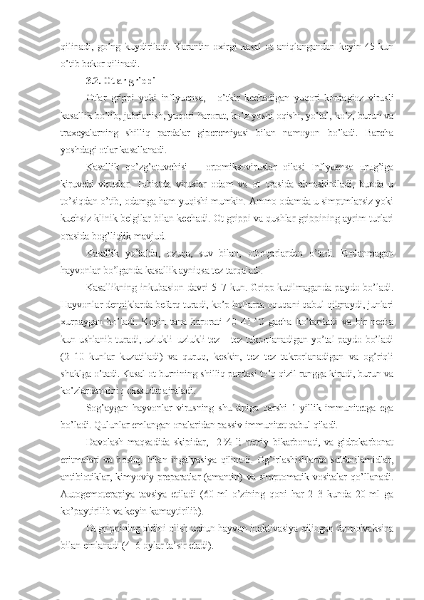 qilinadi,   go’ng   kuydiriladi.   Karantin   oxirgi   kasal   ot   aniqlangandan   keyin   45   kun
o’tib bekor qilinadi. 
3.2.  Otlar grippi
Otlar   grippi   yoki   inflyuensa,   –   o’tkir   kechadigan   yuqori   kontagioz   virusli
kasallik bo’lib, jabrlanish, yuqori harorat, ko’z yoshi oqishi, yo’tal, ko’z, burun va
traxeyalarning   shilliq   pardalar   giperemiyasi   bilan   namoyon   bo’ladi.   Barcha
yoshdagi otlar kasallanadi.
Kasallik   qo’zg’atuvchisi   –   ortomiksoviruslar   oilasi   Inflyuensa   urug’iga
kiruvchi   viruslar.   Tabiatda   viruslar   odam   va   ot   orasida   almashiniladi,   bunda   u
to’siqdan o’tib, odamga ham yuqishi mumkin. Ammo odamda u simptmlarsiz yoki
kuchsiz klinik belgilar bilan kechadi. Ot grippi va qushlar grippining ayrim turlari
orasida bog’liqlik mavjud.
Kasallik   yo’talda,   ozuqa,   suv   bilan,   otboqarlardan   o’tadi.   Emlanmagan
hayvonlar bo’lganda kasallik ayniqsa tez tarqaladi.
Kasallikning inkubasion davri 5–7 kun. Gripp kutilmaganda paydo bo’ladi.
Hayvonlar denniklarda befarq turadi, ko’p hollarda oquqani qabul qilmaydi, junlari
xurpaygan   bo’ladi.   Keyin   tana   harorati   40–41   °C   gacha   ko’tariladi   va   bir   necha
kun ushlanib turadi, uzlukli–uzlukli tez – tez takrorlanadigan yo’tal paydo bo’ladi
(2–10   kunlar   kuzatiladi)   va   quruq,   keskin,   tez–tez   takrorlanadigan   va   og’riqli
shaklga o’tadi. Kasal ot burnining shilliq pardasi to’q qizil rangga kiradi, burun va
ko’zlardan tiniq ekssudat ajraladi.
Sog’aygan   hayvonlar   virusning   shu   tipiga   qarshi   1   yillik   immunitetga   ega
bo’ladi. Qulunlar emlangan onalaridan passiv immunitet qabul qiladi.
Davolash   maqsadida   skipidar,     2   %   li   natriy   bikarbonati,   va   gidrokarbonat
eritmalari   va   boshq.   bilan   ingalyasiya   qilinadi.   Og’irlashishlarda   sulfanilamidlar,
antibiotiklar,   kimyoviy   preparatlar   (amantin)   va   simptomatik   vositalar   qo’llanadi.
Autogemoterapiya   tavsiya   etiladi   (60   ml   o’zining   qoni   har   2–3   kunda   20   ml   ga
ko’paytirilib va keyin kamaytirilib).
Ot grippining oldini olish uchun hayvon inaktivasiya qilingan farmolvaksina
bilan emlanadi (4–6 oylar ta’sir etadi). 