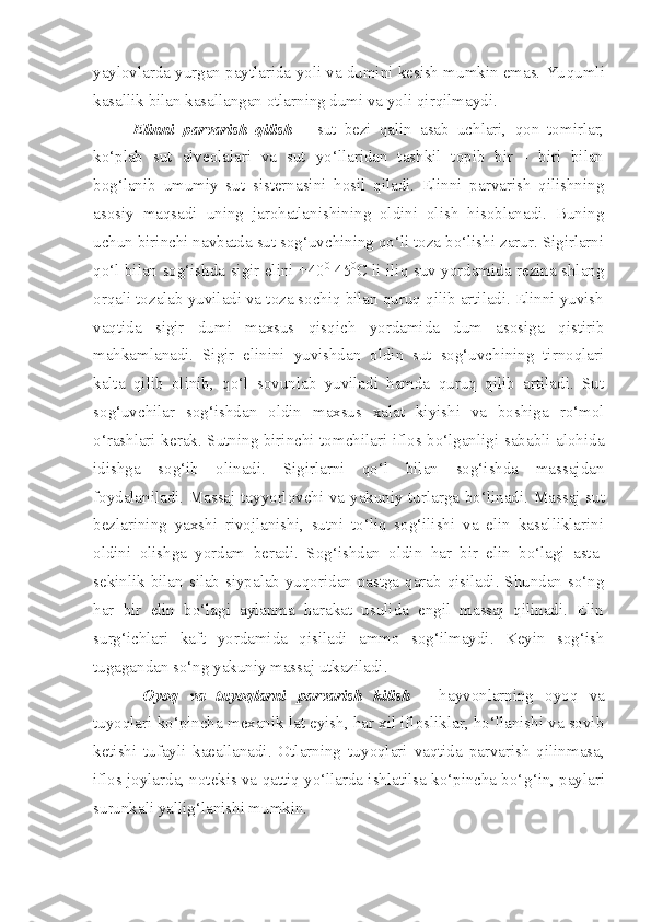 yaylovlarda yurgan paytlarida yoli va dumini kesish mumkin emas. Yu q umli
kasallik bilan kasallangan otlarning dumi va yoli qirqilmaydi.
Elinni   parvarish   qilish   –   sut   bezi   qalin   asab   uchlari,   qon   tomirlar,
ko‘plab   sut   alveolalari   va   sut   yo‘llaridan   tashkil   topib   bir   -   biri   bilan
bog‘lanib   umumiy   sut   sisternasini   hosil   qiladi.   Elinni   parvarish   qilishning
asosiy   maqsadi   uning   jarohatlanishining   oldini   olish   hisoblanadi.   Buning
uchun birinchi navbatda sut sog‘uvchining qo‘li toza bo‘lishi zarur. Sigirlarni
qo‘l bilan sog‘ishda sigir elini +40 0
-45 0
C li iliq suv yordamida rezina shlang
orqali tozalab yuviladi va toza sochiq bilan quruq qilib artiladi. Elinni yuvish
vaqtida   sigir   dumi   maxsus   qisqich   yordamida   dum   asosiga   qistirib
mahkamlanadi.   Sigir   elinini   yuvishdan   oldin   sut   sog‘uvchining   tirnoqlari
kalta   qilib   olinib,   qo‘l   sovunlab   yuviladi   hamda   quruq   qilib   artiladi.   Sut
sog‘uvchilar   sog‘ishdan   oldin   maxsus   xalat   kiyishi   va   boshiga   ro‘mol
o‘rashlari kerak. Sutning birinchi tomchilari iflos bo‘lganligi sababli alohida
idishga   sog‘ib   olinadi.   Sigirlarni   qo‘l   bilan   sog‘ishda   massajdan
foydalaniladi. Massaj tayyorlovchi va yakuniy turlarga bo‘linadi.   Massaj sut
bezlarining   yaxshi   rivojlanishi,   sutni   to‘liq   sog‘ilishi   va   elin   kasalliklarini
oldini   olishga   yordam   beradi.   Sog‘ishdan   oldin   har   bir   elin   bo‘lagi   asta-
sekinlik bilan silab-siypalab yuqoridan pastga qarab qisiladi. Shundan so‘ng
har   bir   elin   bo‘lagi   aylanma   harakat   usulida   engil   massaj   qilinadi.   Elin
surg‘ichlari   kaft   yordamida   qisiladi   ammo   sog‘ilmaydi.   Keyin   sog‘ish
tugagandan so‘ng yakuniy massaj utkaziladi.
Oyoq   va   tuyoqlarni   parvarish   kilish   -   h ayvonlarning   oyoq   va
tuyoqlari ko‘pincha mexanik lat eyish, har xil iflosliklar, ho‘llanishi va sovib
ketishi   tufayli   kaeallanadi.   Otlarning   tu yo qlari   vaqtida   parvarish   qilinmasa,
iflos joylarda, notekis va qattiq yo‘llarda ishlatilsa ko‘pincha bo‘ g‘ in,  p aylari
surunkali yallig‘lanishi mumkin. 