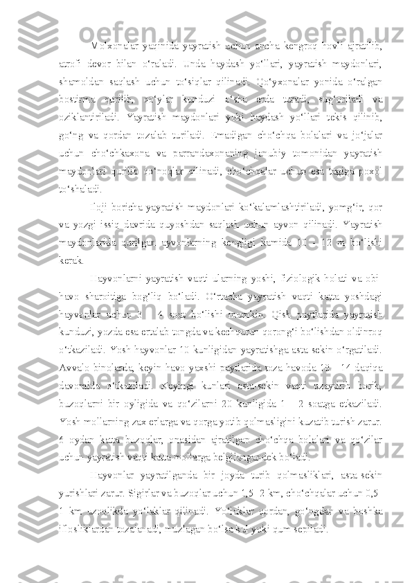 Molxonalar   yaqinida   yayratish   uchun   ancha   kengroq   hovli   ajratilib,
atrofi   devor   bilan   o‘raladi.   Unda   haydash   yo‘llari,   yayratish   maydonlari,
shamoldan   saqlash   uchun   to‘siqlar   qilinadi.   Qo‘yxonalar   yonida   o‘ralgan
bostirma   qurilib,   qo‘ylar   kunduzi   o‘sha   erda   turadi,   sug‘oriladi   va
oziklantiriladi.   Y a yratish   maydonlari   yoki   haydash   yo‘llari   tekis   qilinib,
go‘ng   va   qordan   tozalab   turiladi.   Emadigan   cho‘chqa   bolalari   va   jo‘jalar
uchun   cho‘chkaxona   va   parrandaxonaning   janubiy   tomonidan   yayratish
maydonlari   qurilib   qo‘noqlar   qilinadi,   cho‘chqalar   uchun   esa   tagiga   poxol
to‘shaladi.
Iloji   boricha   yayratish   maydonlari   ko‘kalamlashtiriladi,   yomg‘ir,   qor
va   yozgi   issiq   davrida   quyoshdan   saqlash   uchun   ayvon   qilinadi.   Y a yratish
maydonlarida   qurilgan   ayvonlarning   kengligi   kamida   10   -   12   m   bo‘lishi
kerak. 
Hayvonlarni   yayratish   vaqti   ularning   yoshi,   fiziologik   holati   va   obi-
havo   sharoitiga   bog‘liq   bo‘ladi.   O‘rtacha   yayratish   vaqti   katta   yoshdagi
hayvonlar   uchun   3   -   4   soat   bo‘lishi   mumkin.   Qish   paytlarida   yayratish
kunduzi, yozda esa ertalab tongda va kechqurun qorong‘i bo‘lishdan oldinroq
o‘tkaziladi. Yosh hayvonlar 10 kunligidan yayratishga asta-sekin o‘rgatiladi.
Avvalo  binolarda,  keyin  havo  yaxshi  paytlarida  toza  havoda  10  -  14  daqiqa
davomida   o‘tkaziladi.   Keyingi   kunlari   asta-sekin   vaqti   uzaytirib   borib,
buzoqlarni   bir   oyligida   va   qo‘zilarni   20   kunligida   1   -   2   soatga   etkaziladi.
Y o sh mollarning zax erlarga va qorga yotib qolmasligini kuzatib turish zarur.
6   oydan   katta   buzoqlar,   onasidan   ajratilgan   cho‘chqa   bolalari   va   qo‘zilar
uchun yayratish vaqti katta mollarga belgilangandek bo‘ladi.
Hayvonlar   yayratilganda   bir   joyda   turib   qolmasliklari,   asta-sekin
yurishlari zarur. Sigirlar va buzoqlar uchun 1,5- 2 km, cho‘chqalar uchun 0,5-
1   km   uzoqlikda   yo‘laklar   qilinadi.   Yo‘laklar   q ordan,   go‘ngdan   va   boshka
iflosliklardan tozalanadi, muz lagan  bo‘lsa kul yoki  qu m sepiladi. 