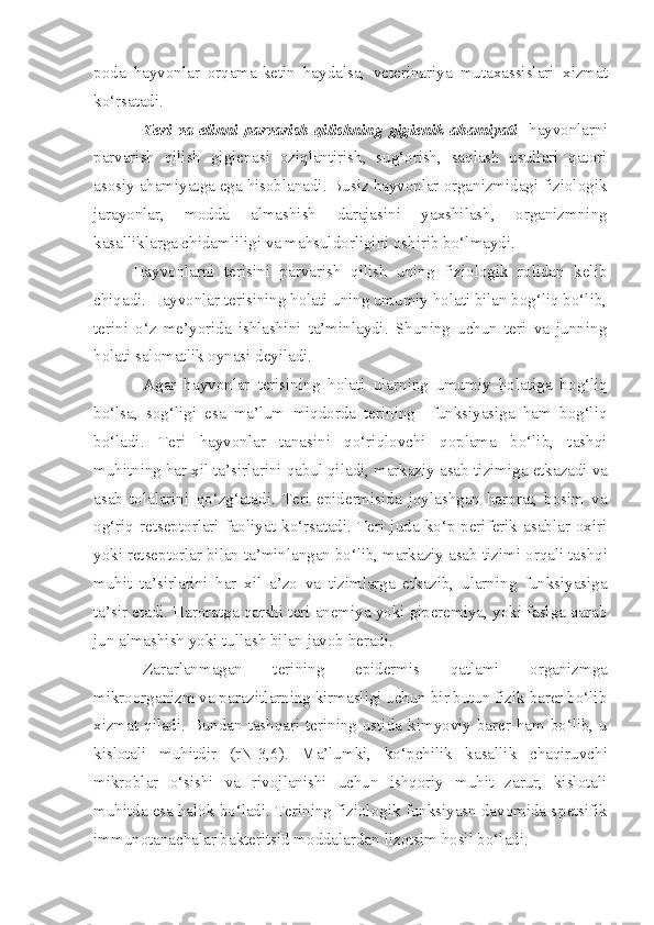 poda   hayvonlar   orqama-ketin   haydalsa,   vet e rinariya   mutaxassislari   x iz mat
ko‘rsatadi. 
Teri  va  elinni  parvarish  qilishning  gigienik  ahamiyati   -hayvonlarni
parvarish   qilish   gigienasi   oziqlantirish,   sug‘orish,   saqlash   usullari   qatori
asosiy ahamiyatga ega hisoblanadi. Busiz hayvonlar organizmidagi fiziologik
jarayonlar,   modda   almashish   darajasini   yaxshilash,   organizmning
kasalliklarga chidamliligi va mahsuldorligini oshirib bo‘lmaydi.
Hayvonlarni   terisini   parvarish   qilish   uning   fiziologik   rolidan   kelib
chiqadi. Hayvonlar terisining holati uning umumiy holati bilan bog‘liq bo‘lib,
terini   o‘z   me’yorida   ishlashini   ta’minlaydi.   Shuning   uchun   teri   va   junning
holati salomatlik oynasi deyiladi. 
Agar   h ayvonlar   terisining   holati   ularn in g   umumiy   holatiga   bo g‘ liq
bo‘lsa,   sog‘ligi   esa   ma’lum   miqdorda   terining     funksiyasiga   ham   bog‘liq
bo‘ladi.   Teri   hayvonlar   tanasini   qo‘riqlovchi   qoplama   bo‘lib,   tashqi
muhitning har xil ta’sirlarini qabul qiladi, markaziy asab  tizimiga  etkazadi va
asab   tolalarini   q o‘zg‘atadi.   Teri   epidermisida   joylashgan   harorat,   bosim   va
og‘ri q   retseptorlari  faoliya t   ko‘rsa t adi.  Teri  juda  ko‘p   periferik  asablar  oxiri
yoki retseptorlar bilan ta’minlangan bo‘lib, markaziy asab  tizimi  orqali tashqi
muhit   ta’sirlarini   har   xil   a’zo   va   tizim larga   etkazib,   ularning   funksiyasiga
ta’sir  e tadi. Haroratga qarshi teri anemiya yoki giperemiya, yoki faslga qarab
jun almashish yoki tul l ash bilan javob beradi.
Zararlanmagan   teri ning   e pidermis   qatlam i   organizmga
mikroorganizm va paraz i tlarning kirmasligi uchun bir butun fizik barer bo‘lib
xizmat qiladi. Bundan tashqari terining ustida   kimyo v i y barer ham bo‘lib, u
kislotali   muhitdir   (rN - 3 , 6).   Ma’lumki,   ko‘p chilik   kasallik   chaqiruvchi
mikroblar   o‘sishi   va   rivojlanishi   uchun   ishqoriy   muhit   zarur,   kislotali
muhitda esa halok bo‘ladi. Terining fiziologik funksiyasn davomida s p etsifik
immunotanachalar bakteritsid moddalardan  l izotsim hosil bo‘ladi. 