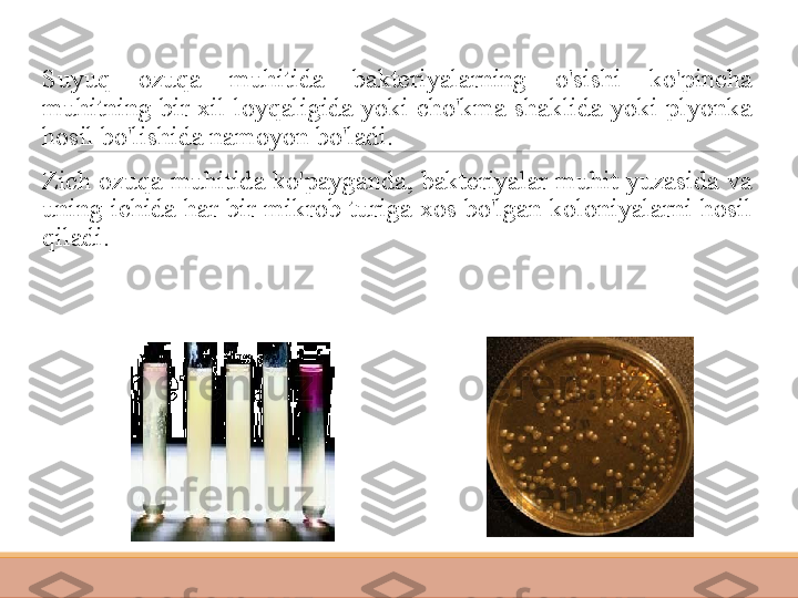  
Suyuq  ozuqa  muhitida  bakteriyalarning  o'sishi  ko'pincha 
muhitning  bir  xil  loyqaligida  yoki  cho'kma  shaklida  yoki  plyonka 
hosil bo'lishida namoyon bo'ladi.
 
Zich ozuqa muhitida ko'payganda, bakteriyalar muhit yuzasida va 
uning  ichida  har  bir  mikrob  turiga  xos  bo'lgan  koloniyalarni  hosil 
qiladi. 