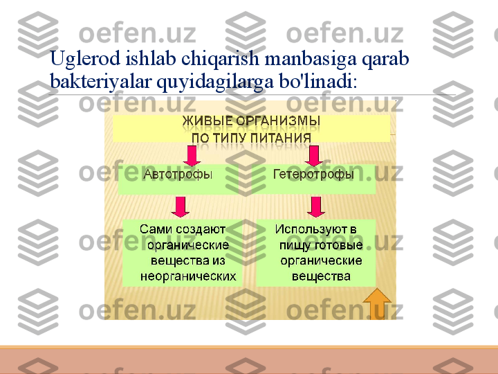 Uglerod ishlab chiqarish manbasiga qarab 
bakteriyalar quyidagilarga bo'linadi: 