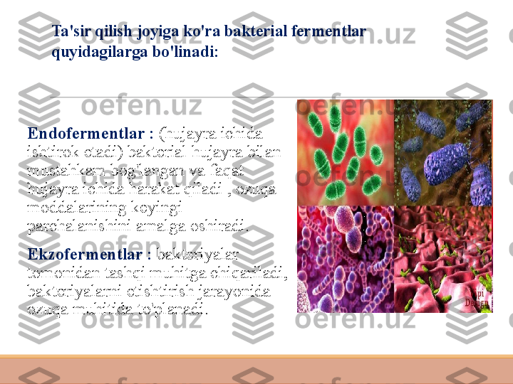 Ta'sir qilish joyiga ko'ra bakterial fermentlar 
quyidagilarga bo'linadi:
 
Endofermentlar :  (hujayra ichida 
ishtirok etadi) bakterial hujayra bilan 
mustahkam bog'langan va faqat 
hujayra ichida harakat qiladi , ozuqa 
moddalarining keyingi 
parchalanishini amalga oshiradi.
 
Ekzofermentlar :   bakteriyalar 
tomonidan tashqi muhitga chiqariladi, 
bakteriyalarni etishtirish jarayonida 
ozuqa muhitida to'planadi. 