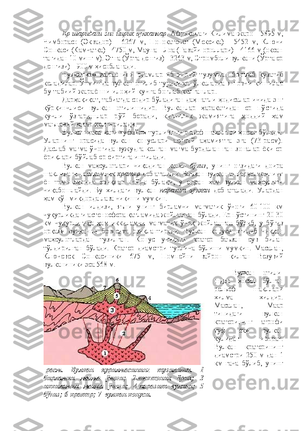 Ер шаридаги энг йирик вулканлар . Африкадаги Килиманжаро - 5895 м,
Чимборасо   (Эквадор)   -   6267   м,   Попокатепет   (Мексика)   -   5452   м,   Ключи
Сопкаси (Камчатка) - 4750 м, Мауна - Лоа (Гавайи ороллари) - 4166 м (океан
тагидан 10 минг м).  Этна (Ўрта денгиз) - 3263 м, Стромболи вулкани (Ўрта ер
денгизи) - 900 м ҳисобланади.
Вулканизм   жараёнини   одамлар   ибтидоий   тузумдан   бошлаб   кузатиб
келадилар. Ўтмишда вулкан отилиб турадиган  ўлкаларда   яшовчи   кишилар
бу табиий жараённи илоҳий кучга боғлаб келганлар .
Дарҳақиқат, табиатда содир бўладиган даҳшатли ҳодисалар ичида  энг
қўрқинчлиси   вулкан   отилишидир.   Вулканлар   ҳаракатидан   ер   пўстида
кучли   ўзгаришлар   рўй   беради,   кишилик   жамиятига   моддий   ҳам
маънавий зарар келтирилади. 
Вулкан  ҳара-кати туфайли турли янги реьеф шакллари ҳосил бўлади.
Уларнинг   орасида   вулкан   конуслари   асосий   аҳамиятга   эга   (73-расм).
Даслаб  магма  ўчоғида  вужудга  келган  магма  бурдалан-ган  зоналар   ёки  ер
ёриқлари бўйлаб ер сиртига интилади.
Вулкан   маҳсулотлари   чиқадиган   канал   бўғиз ,   унинг   оғзидаги   доира
шаклидаги пасткамлик  кратер  деб аталади. Баъзан вулкан аппаратларининг
ён   томонларида   ериқлар   пайдо   бўлади,   у   ердан   ҳам   вулкан   маҳсулоти
чиқабошлайди.   Бу   хилдаги   вулкан   паразит   вулкан   деб   аталади.   Улардан
ҳам кўп миқдорда лава чиқиши мумкин.
Вулкан   илдизи,   яъни   унинг   бирламчи   магматик   ўчоғи   60-100   км
чуқурликдаги астеносфера қатламида жойлашган бўлади. Ер пўстининг 20-30
км   чуқурлигида   ҳам   иккиламчи   магматик   ўчоқ   жойлашган   бўлиб,   у   бўғиз
орқали   вулканни   бевосита   озиқлантиради.   Вулкан   конуси   отилиб   чиққан
маҳсулотлардан   тузилган.   Конус   учидаги   кратер   баъзан   сув   билан
тўлдирилган   бўлади.   Кратер   диаметри   турлича   бўлиши   мумкин.   Масалан,
Ключевск   Сопкасиники   675   м,   Помпейни   вайрон   қилган   Везувий
вулканиники эса 568 м.
Вулкан   отили-
шдан   ҳосил   бўлган
рельеф   шакллари
хилма   -   хилдир.
Масалан,   Маар
типидаги   вулкан
кратерининг   атрофи
туф   ёки   вулкан
кулидан   иборат.
Вулкан   кратерининг
диаметри   250   м   дан   1
км   гача   бўлиб,   унинг
-расм.   Вулкан   қурилмасининг   тузилиши.   1-
бирламчи   магма   ўчоғи;   2-тектоник   ёриқ;   3-
иккиламчи   магма   ўчоғи;   4-паразит   вулкан;   5-
бўғиз; 6-кратер; 7- вулкан конуси. 