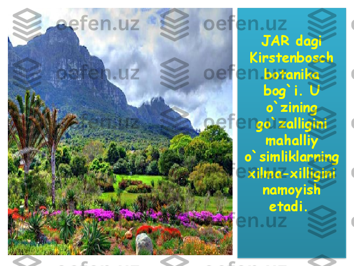 JAR dagi 
Kirstenbosch 
botanika 
bog`i. U 
o`zining 
go`zalligini 
mahalliy 
o`simliklarning 
xilma-xilligini 
namoyish 
etadi.   
