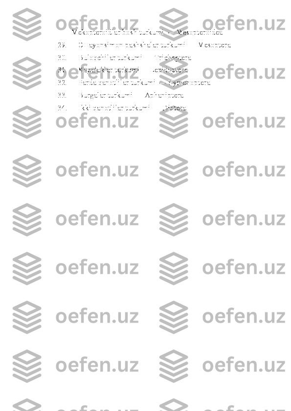       Mekopteroidlar bosh turkumi —  Mesopteroidea
29.   CHayo n simon pashshalar turkumi —  Mesoptera
30.   Bulo q chilar turkumi —  Trichoptera
31.   Kapalaklar turkumi—  Lepidoptera
32.   Parda qanotlilar turkumi —  Hymenoptera
33.   Burgalar turkumi —  Aphaniptera
34.  Ikki qanotlilar turkumi —  Diptera 