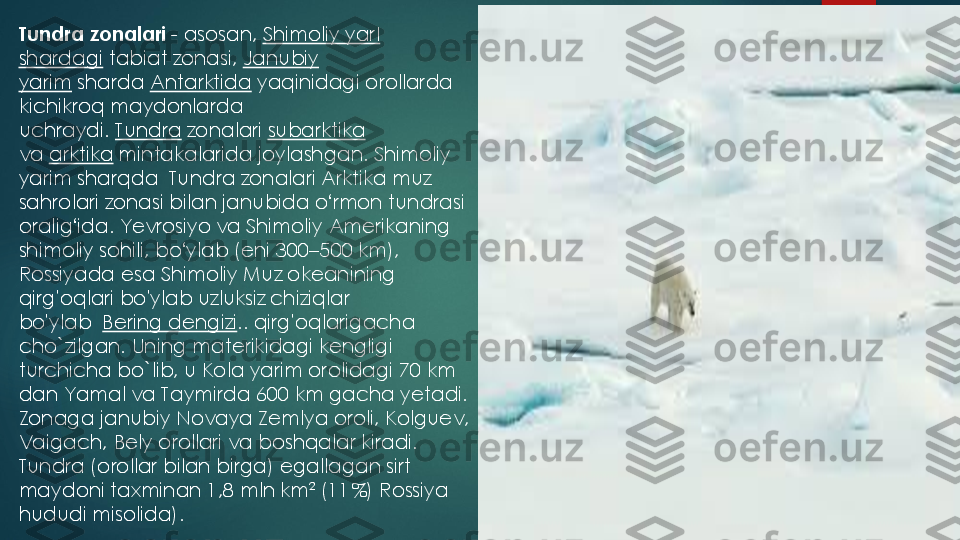 Tundra zonalari	-	asosan,	Shimoliy yar	I	
shardagi	tabiat zonasi,	Janubiy 	
yarim	sharda	Antarktida	yaqinidagi orollarda 	
kichikroq maydonlarda 
uchraydi.	Tundra	zonalari	subarktika	
va	arktika	mintakalarida joylashgan. Shimoliy 	
yarim shar	q	da  	Tundra zonalari Arktika muz 	
sahrolari zonasi bilan janubida o	ʻrmon tundrasi 	
oralig	ʻida	. Yevrosiyo va Shimoliy Amerikaning 	
shim	oliy	sohili, bo	ʻylab (eni 300	–	500	km), 	
Rossiyada esa 	Shimoliy Muz okeanining 	
qirg	'oqlari bo	'ylab uzluksiz chiziqlar 	
bo	'ylab	Bering dengizi	.. 	qirg	'oqlarigacha 	
cho	`zilgan	. 	Uning materikidagi kengligi 	
turchicha bo`lib, u Kola yarim orolidagi 70 km 
dan Yamal va Taymirda 600 km gacha yetadi. 
Zonaga janubiy Novaya Zemlya oroli, Kolguev, 
Vaigach, Bely orollari va boshqalar kiradi. 
Tundra (orollar bilan birga) egallagan sirt 
maydoni taxminan 1,8 mln km² (11%)	Rossiya 	
hududi misolida). 