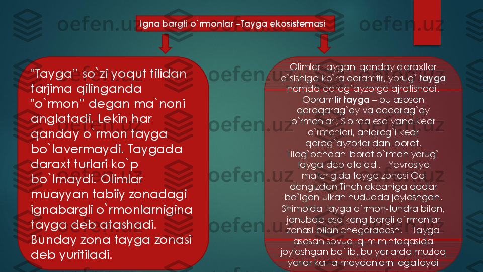 Igna bargli o`rmonlar 	–Tayga ekosistemasi	
"Tayga	” 	so`zi	yoqut	tilidan	
tarjima	qilinganda	
"o`rmon	” 	degan	ma`noni	
anglatadi	. 	Lekin	har	
qanday	o`rmon	tayga	
bo`lavermaydi	. 	Taygada	
daraxt	turlari	ko`p	
bo`lmaydi	. 	Olimlar	
muayyan	tabiiy	zonadagi	
ignabargli	o`rmonlarnigina	
tayga	deb 	atashadi	. 	
Bunday	zona	tayga	zonasi	
deb	yuritiladi	.	
Olimlar taygani qanday daraxtlar 	
o`sishiga ko`ra qoramtir, yorug` 	tayga	
hamda qarag`ayzorga ajratishadi. 	
Qoramtir 	tayga	–	bu asosan 	
qoraqarag`ay va oqqarag`ay 	
o`rmonlari, Sibirda esa yana kedr 	
o`rmonlari, aniqrog`i kedr 
qarag`ayzorlaridan iborat. 	
Tilog`ochdan iborat o`rmon yorug` 	
tayga deb ataladi. 	Yevrosiyo 	
materigida tayga zonasi Oq 	
dengizdan Tinch okeaniga qadar 	
bo`lgan ulkan hududda joylashgan. 
Shimolda tayga o`rmon	-tundra bilan, 	
janubda esa keng bargli o`rmonlar 
zonasi bilan chegaradosh.	Tayga 	
asosan sovuq iqlim mintaqasida 	
joylashgan bo`lib, bu yerlarda muzloq 	
yerlar katta maydonlarni egallaydi	
Igna bargli o`rmonlar 	–Tayga ekosistemasi 