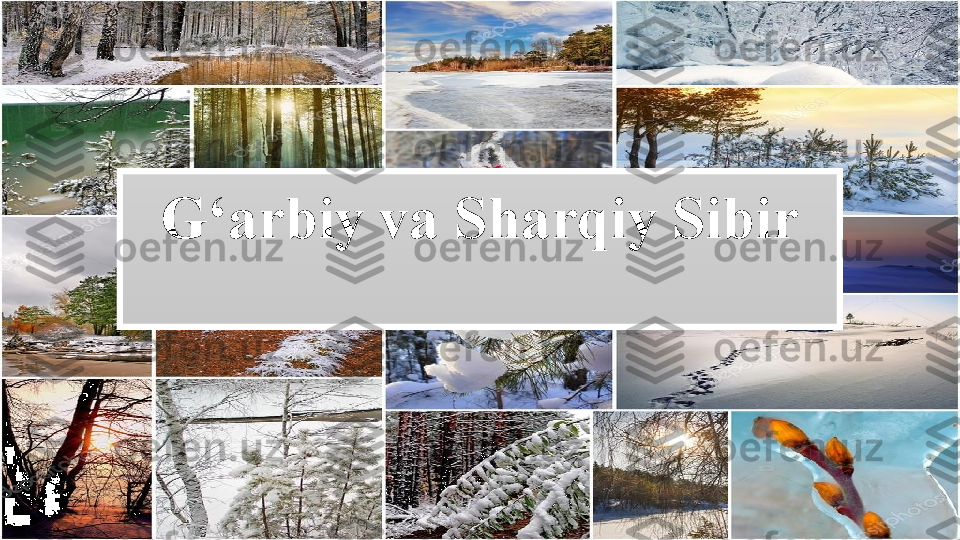 G‘arbiy va Sharqiy Sibir 