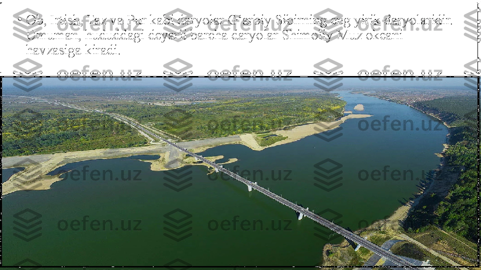 •
Ob, Irtish, Taz va Pur kabi daryolar G‘arbiy Sibirning eng yirik daryolaridir. 
Umuman, hududdagi deyarli barcha daryolar Shimoliy Muz okeani 
havzasiga kiradi. 