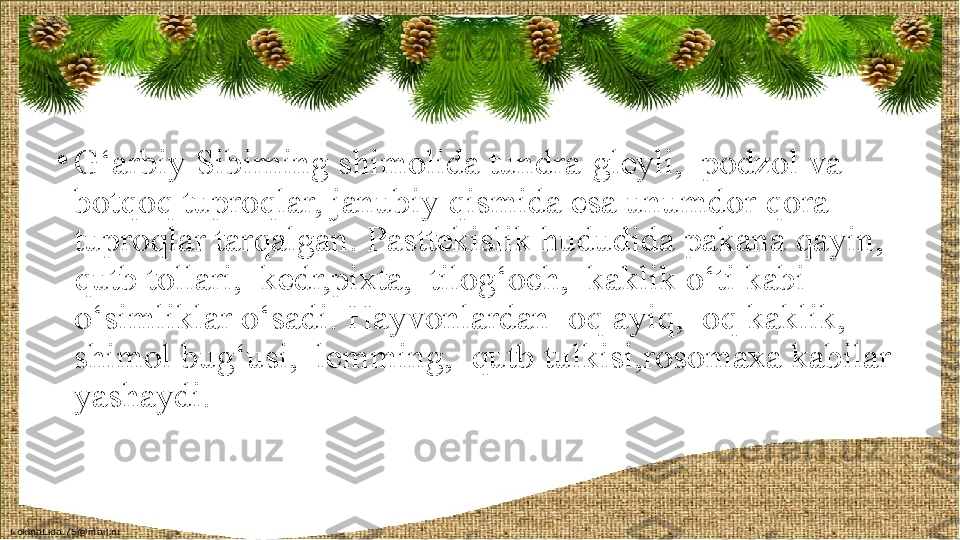 •
G‘arbiy Sibirning shimolida tundra-gleyli,  podzol va 
botqoq tuproqlar, janubiy qismida esa unumdor qora 
tuproqlar tarqalgan. Pasttekislik hududida pakana qayin,  
qutb tollari,  kedr,pixta,  tilog‘och,  kaklik o‘ti kabi 
o‘simliklar o‘sadi. Hayvonlardan  oq ayiq,  oq kaklik,  
shimol bug‘usi,  lemming,  qutb tulkisi,rosomaxa kabilar 
yashaydi. 