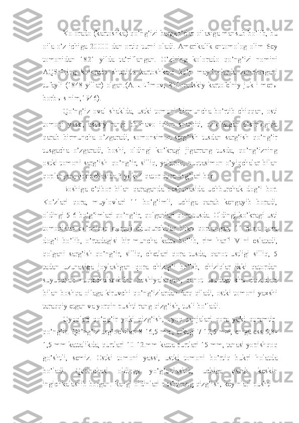 Kolorado (kartoshka) qo’ng’izi bargxo’rlar oilasiga mansub bo’lib, bu
oila o’z ichiga 20000 dan ortiq turni oladi. Amerikalik entomolog olim Sey
tomonidan   1821   yilda   ta’riflangan.   O’zining   kolorado   qo’ng’izi   nomini
AQSHning   kolorado   shtatida   kartoshkani   ko’p   maydonlarda   zararlangani
tufayli  (1848 yillar) olgan.(A.L.Efimov,  Koloradskiy  kartofelniy juk i  merы
borbы s nim,1946).
Qo’ng’iz   oval   shaklda,   ustki   tomoni   birmuncha   bo’rtib   chiqqan,   osti
tomoni   yassi,   asosiy   rangi   ob–havo   iqlim   sharoiti,   oziqlangan   o’simligiga
qarab   birmuncha   o’zgaradi,   somonsimon-sarg’ish   tusdan   sarg’ish   qo’ng’ir
tusgacha   o’zgaradi,   boshi,   oldingi   ko’kragi   jigarrang   tusda,   qo’ng’izning
ostki tomoni sarg’ish–qo’ng’ir, silliq, yaltiroq, nuqtasimon o’yiqchalar bilan
qoplangan, qorinchasida 3 yoki 4 qator qora dog’lari bor.
Boshiga   e’tibor   bilan   qaraganda   peshonasida   uchburchak   dog’i   bor.
Ko’zlari   qora,   muylovlari   11   bo’g’imli,   uchiga   qarab   kengayib   boradi,
oldingi 5-6 bo’g’imlari qo’ng’ir, qolganlari qora tusda. Oldingi ko’kragi usti
tomonidan   qo’polroq   nuqtali   chuqurchalar   bilan   qoplangan,   11   dona   qora
dog’i   bo’lib,   o’rtadagisi   bir   muncha   katta   bo’lib,   rim   harfi   V   ni   eslatadi,
qolgani   sarg’ish-qo’ng’ir,   silliq,   chetlari   qora   tusda,   qanot   ustligi   silliq,   5
tadan   uzunasiga   joylashgan   qora   chizig’i   bo’lib,   chiziqlar   ikki   qatordan
suyuqchali   nuqtachalar   bilan   hoshiyalangan,   qanot   ustidagi   shu   chiziqlari
bilan boshqa  oilaga  kiruvchi  qo’ng’izlardan farq qiladi,  ostki  tomoni yaxshi
taraqqiy etgan va yorqin pushti rang-qizg’ish, tusli bo’ladi.
Oyoqlari   qo’ng’ir   yoki   qizg’ish,   oyoq   panjalari   qora   yoki   qoramtir-
qo’ng’ir. Qo’ng’iz urg’ochilari 8-16,5 mm, erkagi 7-12,5 mm, eniga esa 0,8-
1,5 mm kattalikda, qurtlari  10-12.mm  katta qurtlari 15 mm, tanasi yopishqoq
go’shtli,   semiz.   Ostki   tomoni   yassi,   ustki   tomoni   bo’rtiq   bukri   holatda
b o’ ladi.   Qorinchasi   oldinga   yo’g’onlashib,   uchiga   qarab   keskin
ingichkalashib borgan. Rangi oldinlari pushtirang qizg’ish, keyinlari pushti – 