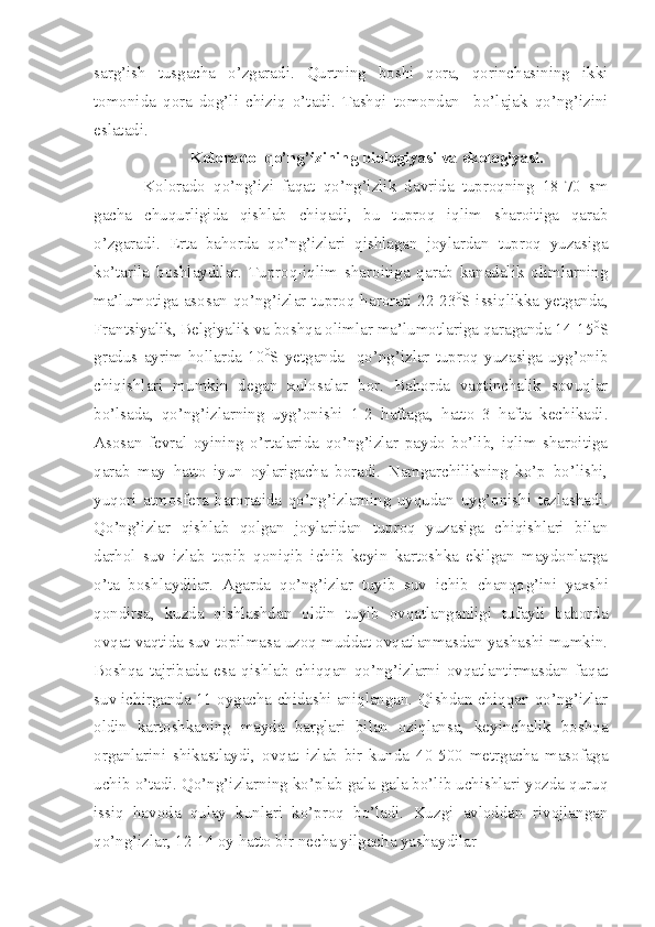 sarg’ish   tusgacha   o’zgaradi.   Qurtning   boshi   qora,   qorinchasining   ikki
tomonida   qora   dog’li   chiziq   o’tadi.   Tashqi   tomondan     bo’lajak   qo’ng’izini
eslatadi. 
Kolorado  qo’ng’izining biologiyasi va ekologiyasi.
Kolorado   qo’ng’izi   faqat   qo’ng’izlik   davrida   tuproqning   18-70   sm
gacha   chuqurligida   qishlab   chiqadi,   bu   tuproq   iqlim   sharoitiga   qarab
o’zgaradi.   Erta   bahorda   qo’ng’izlari   qishlagan   joylardan   tuproq   yuzasiga
ko’tarila   boshlaydilar.   Tuproq-iqlim   sharoitiga   qarab   kanadalik   olimlarning
ma’lumotiga asosan qo’ng’izlar tuproq harorati 22-23 0
S issiqlikka yetganda,
Frantsiyalik, Belgiyalik va boshqa olimlar ma’lumotlariga qaraganda 14-15 0
S
gradus   ayrim   hollarda   10 0
S   yetganda     qo’ng’izlar   tuproq   yuzasiga   uyg’onib
chiqishlari   mumkin   degan   xulosalar   bor.   Bahorda   vaqtinchalik   sovuqlar
bo’lsada,   qo’ng’izlarning   uyg’onishi   1-2   haftaga,   hatto   3   hafta   kechikadi.
Asosan   fevral   oyining   o’rtalarida   qo’ng’izlar   paydo   bo’lib,   iqlim   sharoitiga
qarab   may   hatto   iyun   oylarigacha   boradi.   Namgarchilikning   ko’p   bo’lishi,
yuqori   atmosfera   haroratida   qo’ng’izlarning   uyqudan   uyg’onishi   tezlashadi.
Qo’ng’izlar   qishlab   qolgan   joylaridan   tuproq   yuzasiga   chiqishlari   bilan
darhol   suv   izlab   topib   qoniqib   ichib   keyin   kartoshka   ekilgan   maydonlarga
o’ta   boshlaydilar.   Agarda   qo’ng’izlar   tuyib   suv   ichib   chanqo g’ ini   yaxshi
qondirsa,   kuzda   qishlashdan   oldin   tuyib   ovqatlanganligi   tufayli   bahorda
ovqat vaqtida suv topilmasa uzoq muddat ovqatlanmasdan yashashi mumkin.
Boshqa   tajribada   esa   qishlab   chiqqan   qo’ng’izlarni   ovqatlantirmasdan   faqat
suv ichirganda 11 oygacha chidashi aniqlangan. Qishdan chiqqan qo’ng’izlar
oldin   kartoshkaning   mayda   barglari   bilan   oziqlansa,   keyinchalik   boshqa
organlarini   shikastlaydi,   ovqat   izlab   bir   kunda   40-500   metrgacha   masofaga
uchib o’tadi. Qo’ng’izlarning ko’plab gala-gala bo’lib uchishlari yozda quruq
issiq   havoda   qulay   kunlari   ko’proq   bo’ladi.   Kuzgi   avloddan   rivojlangan
qo’ng’izlar, 12-14 oy hatto bir necha yilgacha yashaydilar  