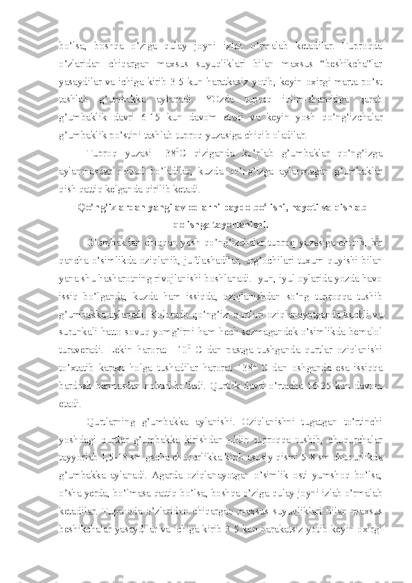 bo’lsa,   boshqa   o’ziga   qulay   joyni   izlab   o’rmalab   ketadilar.   Tuproqda
o’zlaridan   chiqargan   maxsus   suyuqliklari   bilan   maxsus   “beshikcha”lar
yasaydilar va ichiga kirib 3-5 kun haratkasiz yotib, keyin oxirgi marta po’st
tashlab   g’umbakka   aylanadi.   YOzda   tuproq   iqlim-sharoitiga   qarab
g’umbaklik   davri   6-15   kun   davom   etadi   va   keyin   yosh   qo’ng’izchalar
g’umbaklik po’stini tashlab tuproq yuzasiga chiqib oladilar.
Tuproq   yuzasi   +38 0
C   qiziganda   ko’plab   g’umbaklar   qo’ng’izga
aylanmasdan   nobud   bo’ladilar,   kuzda   qo’ng’izga   aylanmagan   g’umbaklar
qish qattiq kelganda qirilib ketadi. 
 Qo’ng’izlardan yangi avlodlarni paydo bo’lishi, hayoti va qishlab
qolishga tayorlanishi.
G’umbakdan chiqqan yosh qo’ng’izchalar tuproq yuzasiga chiqib, bir
qancha o’simlikda oziqlanib, juftlashadilar, urg’ochilari tuxum quyishi bilan
yana shu hasharotning rivojlanishi boshlanadi. Iyun, iyul oylarida yozda havo
issiq   bo’lganda,   kuzda   ham   issiqda,   oziqlanishdan   so’ng   tuproqqa   tushib
g’umbakka aylanadi. Kolorado qo’ng’izi qurtlari oziqlanayotganda kuchli va
surunkali hatto sovuq yomg’irni ham hech sezmagandek o’simlikda bemalol
turaveradi.   Lekin   harorat   +10 0
  C   dan   pastga   tushganda   qurtlar   oziqlanishi
to’xtatib   karaxt   holga   tushadilar   harorat   +38 0
  C   dan   oshganda   esa   issiqqa
bardosh   bermasdan   nobud   bo’ladi.   Qurtlik   davri   o’rtacha   16-25   kun   davom
etadi.
Qurtlarning   g’umbakka   aylanishi.   Oziqlanishni   tugatgan   to’rtinchi
yoshdagi   qurtlar   g’umbakka   kirishdan   oldin   tuproqqa   tushib,   chuqurchalar
tayyorlab 1,5-18 sm gacha chuqurlikka kirib asosiy qismi 5-8 sm chuqurlikda
g’umbakka   aylanadi.   Agarda   oziqlanayotgan   o’simlik   osti   yumshoq   bo’lsa,
o’sha yerda, bo’lmasa qattiq bo’lsa, boshqa o’ziga qulay joyni izlab o’rmalab
ketadilar.   Tuproqda   o’zlaridan   chiqargan   maxsus   suyuqliklari   bilan   maxsus
beshikchalar yasaydilar va ichiga kirib 3-5 kun harakatsiz yotib keyin oxirgi 