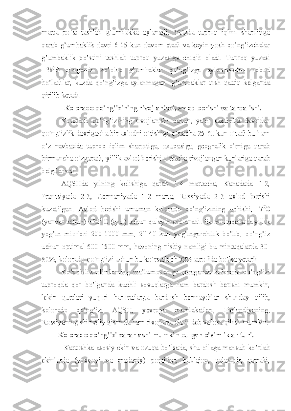 marta   po’st   tashlab   g’umbakka   aylanadi.   YOzda   tuproq   iqlim   sharoitiga
qarab g’umbaklik davri 6-15 kun davom etadi va keyin yosh qo’ng’izchalar
g’umbaklik   po’stini   tashlab   tuproq   yuzasiga   chiqib   oladi.   Tuproq   yuzasi
+38 0
S   qiziganda   ko’plab   g’umbaklar   qo’ng’izga   aylanmasdan   nobud
bo’ladilar,   kuzda   qo’ng’izga   aylanmagan     g’umbaklar   qish   qattiq   kelganda
qirilib ketadi.
Kolorado qo’ng’izining rivojlanishi, avlod berishi va tarqalishi.
Kolorado   qo’ng’izining   rivojlanishi   uchun,   ya’ni   tuxumlik   davridan
qo’ng’izlik davrigacha bir avlodni o’tishiga o’rtacha 25-60 kun o’tadi bu ham
o’z   navbatida   tuproq   iqlim   sharoitiga,   ozuqasiga,   geografik   o’rniga   qarab
birmuncha o’zgaradi, yillik avlod berishi o’rtacha rivojlangan kunlariga qarab
belgilanadi.
AQSHda   yilning   kelishiga   qarab   1-4   martacha,   Kanadada   1-2,
Frantsiyada   2-3,   Germaniyada   1-2   marta,   Rossiyada   2-3   avlod   berishi
kuzatilgan.   Avlod   berishi   umuman   kolorado   qo’ng’izining   uchishi,   -7 0
C
(yanvar uchun) +22 0
 C (iyul) uchun qulay hisoblanadi. Bu mintaqalarda yillik
yog’in   miqdori   200-1000   mm,   20-40   kun   yog’ingarchilik   bo’lib,   qo’ng’iz
uchun   optimal   600-1500   mm,   havoning   nisbiy   namligi   bu   mintaqalarda   30-
80%, kolorado qo’ng’izi uchun bu ko’rsatkich 72% atrofida bo’lsa yetarli.
Ko’pchilik   olimlarning   ma’lumotlariga   qaraganda   kolorado   qo’ng’izi
tuproqda   qor   bo’lganda   kuchli   sovuqlarga   ham   bardosh   berishi   mumkin,
lekin   qurtlari   yuqori   haroratlarga   bardosh   bermaydilar   shunday   qilib,
kolorado   qo’ng’izi   AQSH,   yevropa   mamlakatlari,   Finlandiyaning,
Rossiyaning shimoliy qismida ham rivojlana oladi deb xulosa qilish mumkin.
Kolorado qo’ng’izi zararlashi mumkin bulgan o’simliklar turi.
Kartoshka asosiy ekin va ozuqa bo’lsada, shu oilaga mansub ko’plab
ekinlarda   (yovvoyi   va   madaniy)   pomidor,   baklajon,   qalampir,   tamaki, 