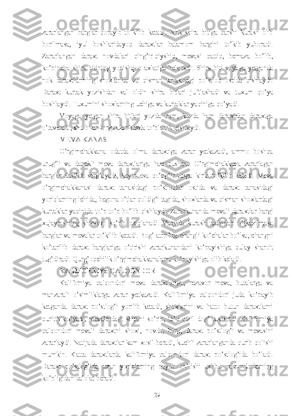 zararlangan   barglar   qorayib   to’kilib   ketadi.   Nok   shira   bitiga   qarshi   kurash   olib
borilmasa,   iyul   boshlaridayoq   daraxtlar   batamom   bargini   to’kib   yuboradi.
Zararlangan   daraxt   novdalari   qing’ir-qiyshiq,   mevasi   qattiq,   bemaza   bo’lib,
ko’pincha   shira   bitining   yopishqoq   axlatiga   belanadi.   Shira   biti   voyaga   yetganda
nok   daraxtlarining   shoxlarida   va   qisman   tanasidagi   po’stloq   ostida   qishlaydi.
Daraxt   kurtak   yozishdan   sal   oldin   shira   bitlari   juftlashadi   va   tuxum   qo’ya
boshlaydi. Tuxumini shoxlarning uchiga va kurtaklar yaqiniga qo’yadi. 
Voyaga   yetgan   shira   bitlari   yozda   ham,   kuzda   ham   daraxtdan   daraxtga
o’taveradi, shu bilan birga ular kuzda to’planib qishlaydi. 
MEVA KANASI 
O’rgimchakkana   odatda   olma   daraxtiga   zarar   yetkazadi,   ammo   boshqa
urug’li   va   danakli   meva   daraxtlariga   ham   tushadi.   O’rgimchakkana   zararlagan
barglar   dastlab   sarg’ayadi,   keyin   esa   qo’ng’ir   tusga   kirib   to’kilib   ketadi.   Meva
o’rgimchakkanasi   daraxt   tanasidagi   po’stloqlar   ostida   va   daraxt   tanasidagi
yoriqlarning ichida, begona o’tlar qoldig’i tagida, shoxlarda va qisman shoxlardagi
kurtaklar yaqinida to’p-to’p bo’lib qishlaydi. Zararkunanda mevali daraxtlar bargi
xujayrasining   shirasini   so’rib   oziqlanadi.   Vaqtida   kurash   tadbirlari   o’tkazilmasa
barglar va mevalar to’kilib ketadi. Bog’ atrofida changli ko’chalar bo’lsa, changni
ko’tarilib   daraxt   barglariga   o’tirishi   zararkunandani   ko’payishiga   qulay   sharoit
tug’diradi. Qurg’oqchilik o’rgimchakkanalarni ko’payishiga olib keladi. 
KALIFORNIYa QALQONDORI 
Kaliforniya   qalqondori   meva   daraxtlariga,   rezavor   meva,   butalarga   va
manzarali   o’simliklarga   zarar   yetkazadi.   Kaliforniya   qalqondori   juda   ko’payib
ketganda   daraxt   po’stlog’i   yorilib   ketadi,   shoxlarini   va   hatto   butun   daraxtlarni
quritib   qo’yadi,   mevalardagi   shirani   so’rib,   to’q   qizil   dog’   tushiradi.   Kaliforniya
qalqondori   mevali   daraxtni   shoxi,   novda,   barg,   daraxt   po’stlog’i   va   mevasini
zararlaydi. Natijada daraxtlar kam xosil beradi, kuchli zararlanganda qurib qolishi
mumkin.   Katta   daraxtlarda   kaliforniya   qalqondori   daraxt   po’stlog’ida   bo’ladi.
Daraxt   po’stlog’ida   uzun   yoriqlarning   paydo   bo’lishi   ushbu   qalqondorlarning
ko’pligidan dalolat beradi. 
29 