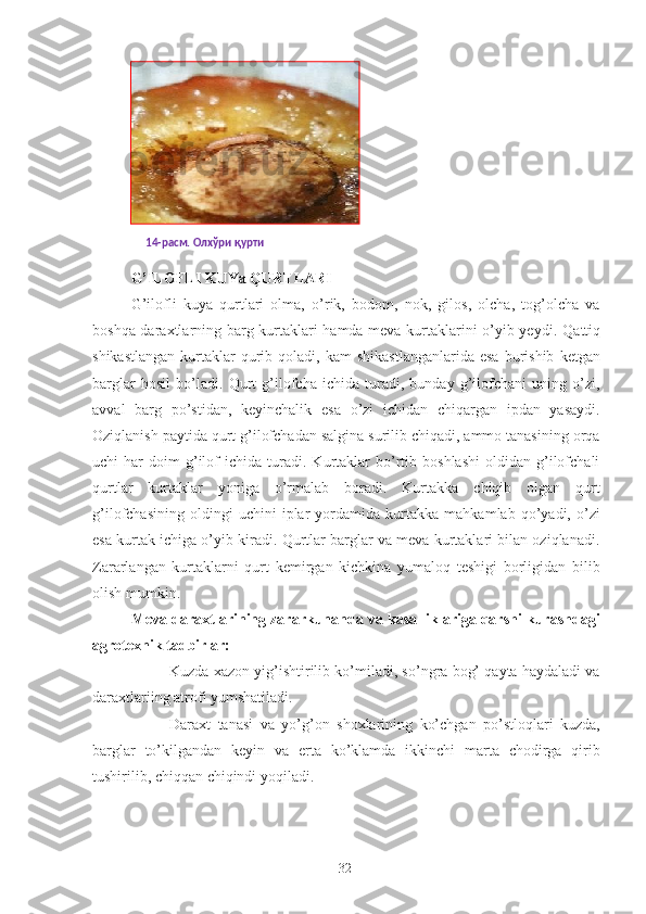 G’ILOFLI KUYa QURTLARI 
G’ilofli   kuya   qurtlari   olma,   o’rik,   bodom,   nok,   gilos,   olcha,   tog’olcha   va
boshqa daraxtlarning barg kurtaklari hamda meva kurtaklarini o’yib yeydi.   Qattiq
shikastlangan  kurtaklar  qurib  qoladi,  kam   shikastlanganlarida   esa   burishib   ketgan
barglar   hosil   bo’ladi.   Qurt   g’ilofcha   ichida   turadi,   bunday   g’ilofchani   uning   o’zi,
avval   barg   po’stidan,   keyinchalik   esa   o’zi   ichidan   chiqargan   ipdan   yasaydi.
Oziqlanish paytida qurt g’ilofchadan salgina surilib chiqadi, ammo tanasining orqa
uchi   har   doim   g’ilof   ichida   turadi.  Kurtaklar   bo’rtib   boshlashi   oldidan   g’ilofchali
qurtlar   kurtaklar   yoniga   o’rmalab   boradi.   Kurtakka   chiqib   olgan   qurt
g’ilofchasining   oldingi   uchini   iplar   yordamida   kurtakka   mahkamlab   qo’yadi,   o’zi
esa kurtak ichiga o’yib kiradi. Qurtlar barglar va meva kurtaklari bilan oziqlanadi.
Zararlangan   kurtaklarni   qurt   kemirgan   kichkina   yumaloq   teshigi   borligidan   bilib
olish mumkin. 
Meva daraxtlarining zararkunanda va kasalliklariga qarshi kurashdagi
agrotexnik tadbirlar:  
- Kuzda xazon yig’ishtirilib ko’miladi, so’ngra bog’ qayta haydaladi va
daraxtlariing atrofi yumshatiladi. 
- Daraxt   tanasi   va   yo’g’on   shoxlarining   ko’chgan   po’stloqlari   kuzda,
barglar   to’kilgandan   keyin   va   erta   ko’klamda   ikkinchi   marta   chodirga   qirib
tushirilib, chiqqan chiqindi yoqiladi. 
32  
14-расм. Олхўри қурти
  