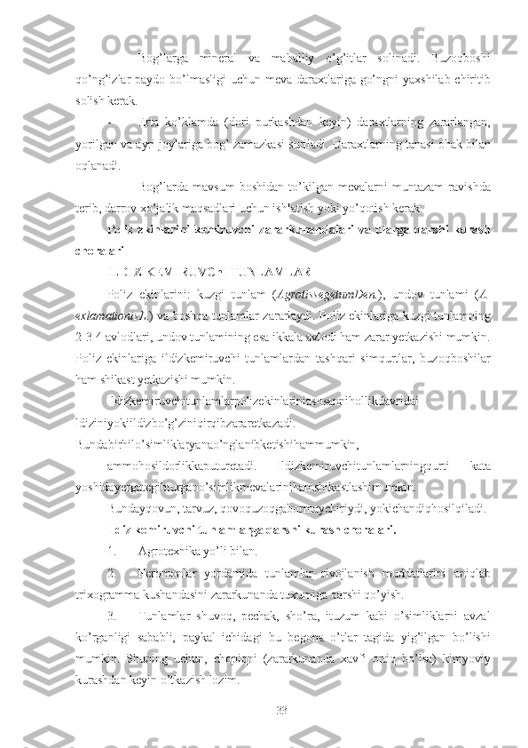 - Bog’larga   mineral   va   mahalliy   o’g’itlar   solinadi.   Buzoqboshi
qo’ng’izlar paydo bo’lmasligi  uchun meva daraxtlariga go’ngni  yaxshilab chiritib
solish kerak. 
- Erta   ko’klamda   (dori   purkashdan   keyin)   daraxtlarning   zararlangan,
yorilgan va ayri joylariga bog’ zamazkasi suriladi.  Daraxtlarning tanasi ohak bilan
oqlanadi. 
- Bog’larda   mavsum   boshidan   to’kilgan   mevalarni   muntazam   ravishda
terib, darrov xo’jalik maqsadlari uchun ishlatish yoki yo’qotish kerak. 
Poliz   ekinlarini   kemiruvchi   zararkunandalari   va   ularga   qarshi   kurash
choralari  
ILDIZ KEMIRUVChI TUNLAMLAR  
Poliz   ekinlarini:   kuzgi   tunlam   ( AgrotissegetumDen. ),   undov   tunlami   ( A.
exlamationisL .) va boshqa tunlamlar zararlaydi. Poliz ekinlariga kuzgi tunlamning
2-3-4 avlodlari, undov tunlamining esa ikkala avlodi ham zarar yetkazishi mumkin.
Poliz   ekinlariga   ildizkemiruvchi   tunlamlardan   tashqari   simqurtlar,   buzoqboshilar
ham shikast yetkazishi mumkin. 
Ildizkemiruvchitunlamlarpolizekinlariniasosannihollikdavridai
ldiziniyokiildizbo’g’ziniqirqibzararetkazadi.
Bundabirhilo’simliklaryanao’nglanibketishihammumkin, 
ammohosildorlikkaputuretadi.   Ildizkemiruvchitunlamlarningqurti   kata
yoshidayergategibturgano’simlikmevalarinihamshikastlashimumkin. 
Bundayqovun, tarvuz, qovoquzoqgabormaychiriydi, yokichandiqhosilqiladi. 
Ildiz kemiruvchi tunlamlarga qarshi kurash choralari. 
1. Agrotexnika yo’li bilan. 
2. Feromonlar   yordamida   tunlamlar   rivojlanish   muddatlarini   aniqlab
trixogramma kushandasini zararkunanda tuxumiga qarshi qo’yish. 
3. Tunlamlar   shuvoq,   pechak,   sho’ra,   ituzum   kabi   o’simliklarni   avzal
ko’rganligi   sababli,   paykal   ichidagi   bu   begona   o’tlar   tagida   yig’ilgan   bo’lishi
mumkin.   Shuning   uchun,   chopiqni   (zararkunanda   xavfi   ortiq   bo’lsa)   kimyoviy
kurashdan keyin o’tkazish lozim. 
33 