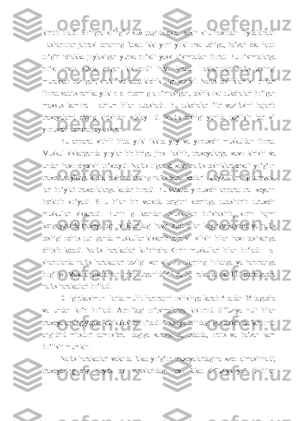 kiritib   oladi.   So‘ngra   so‘ng‘iz   suv   ;tagida   asta-   sekin   shu   havodan   foydalanadi.
Hasharotlar   jabrasi   tananing   fatsat   ikki   yoni   yoki   orsa   uchiga,   ba’zan   esa   hatto
to‘g‘ri   ichakka   joylashgan   yupsa   po‘stli   yassi   o‘simtadan   iborat.   Bu   o‘simtalarga
po‘st   orsali   suvda   erigan   kislorodli   havo   kiradi.   Hasharotlar   nafas   teshngi
murakkab  tuzilgan,  shakli   va katta-kichik-  ligi  xar   xil. Nafas  teshiklari   xi-   tindan
iborat sattits ramka yoki p e- riterm g a o‘rnashgan, teshik osti tukchalari bo‘lgan
maxsus   kamora—   atrium   bilan   tutashadi.   Bu   tukchalar   filtr   vazifasini   bajarib
traxeyalarni   chang   kirishdan   saklay-   di.   Nafas   teshigi   yonida   tuzilishi   har   xil
yopuvchi apparat joylashgan. 
Bu   apparat   xitinli   bitta   yoki   ikkita   yoy   va   yopuvchi   muskuldan   iborat.
Muskul   siskarganda   yoylar   bir-biriga   jips-   lashib,   traxeyalarga   xavo   kirishi   va
undan havo chiqishi to‘xtaydi. Nafas olganda xavo nafas teshiklari orsali yo‘g‘on
traxeal naylarga kirib, hasharotlarning nafas xara- katlari tufayli ularning tarmots-
lari   bo‘ylab   traxeolalarga   kadar   boradi.   Bu   vatstda   yopuvchi   apparat   tra-   xeyann
berkitib   so‘yadi.   SHu   bilan   bir   vatstda   tergitni   sternitga   tutashtirib   turuvchi
muskullar   sissaradi.   Bunin   g   ketndan   muskullar   bo‘shashib,   sorin   hajmi
kengayganda   traxeya   tar-   moklaridagi   havo   kuch   bilan   keyinga   kaytadi   va   nafas
teshigi   ochits   tur-   ganda   muskullar   kissarib   tana   si-   silishi   bilan   havo   tashsariga
chitsib   ketadi.   Nafas   harakatlari   ko‘pincha   Korin   muskullari   bilan   bo‘ladi.   Ha-
sharotlarda   nafas   harakatlari   tezligi   xar   xil,   bu   ularning   holatiga   va   haroratnga
bog‘lits. Masalan,asalarilar  tinch turganida 40 ta, ha- rakatda esa 120 martagacha
nafas harakatlari bo‘ladi. 
CHigirtkasimon-  larda  muhit  haroratini  oshishiga  karab 6 tadan  26 tagacha
va   undan   ko‘p   bo‘ladi.   Atrofdagi   to‘tsimalarga   kislorod   diffuziya   nuli   bilan
traxeyalarning yupsa kutikulasidan o‘tadi. Traxeya ichidagi gaz tarkibida karbonat
angidrid   mitsdori   atmosfera-   dagiga   saraganda,   odatda,   ortits   va   ba’zan   kam
bo‘lishi mumkin. 
Nafas  harakatlari   vaktida  fakat   yo‘g‘on  traxeyalardagina  xzeo  almashinadi;
traxeyaning   eng   mayda   tar-   motslaridagi   havo   fakat   diffuziya   yo‘-   li   bilan 