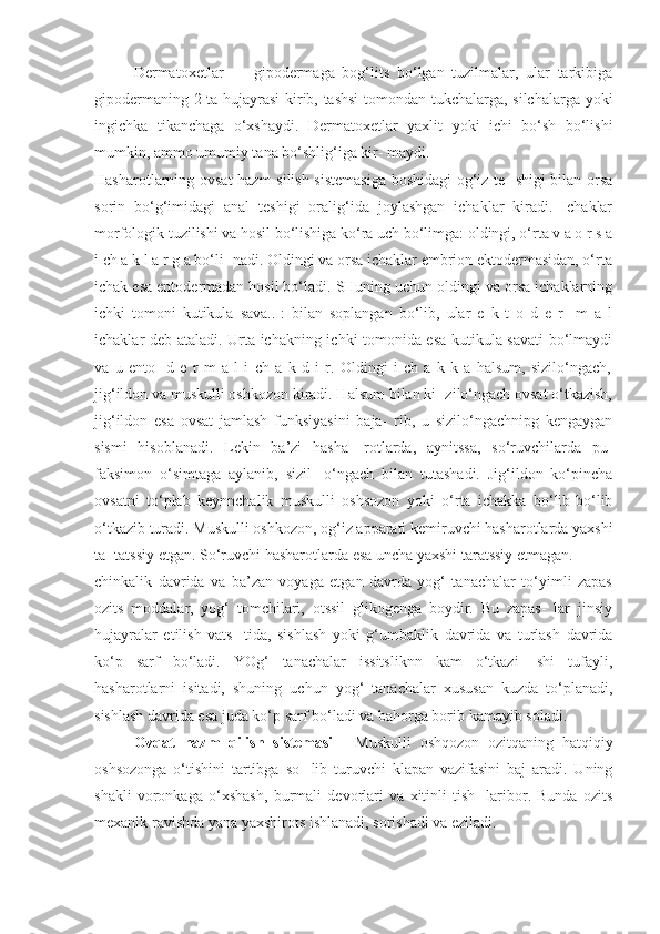 Dermatoxetlar   —   gipodermaga   bog‘lits   bo‘lgan   tuzilmalar,   ular   tarkibiga
gipodermaning 2 ta hujayrasi  kirib, tashsi  tomondan tukchalarga, silchalarga yoki
ingichka   tikanchaga   o‘xshaydi.   Dermatoxetlar   yaxlit   yoki   ichi   bo‘sh   bo‘lishi
mumkin, ammo umumiy tana bo‘shlig‘iga kir- maydi.
Hasharotlarning ovsat hazm  silish sistemasiga boshidagi  og‘iz te- shigi bilan orsa
sorin   bo‘g‘imidagi   anal   teshigi   oralig‘ida   joylashgan   ichaklar   kiradi.   Ichaklar
morfologik tuzilishi va hosil bo‘lishiga ko‘ra uch bo‘limga: oldingi, o‘rta v a o r s a
i ch a k l a r g a bo‘li- nadi. Oldingi va orsa ichaklar embrion ektodermasidan, o‘rta
ichak esa entodermadan hosil bo‘ladi. SHuning uchun oldingi va orsa ichaklarning
ichki   tomoni   kutikula   sava..-:   bilan   soplangan   bo‘lib,   ular   e   k   t   o   d   e   r-   m   a   l
ichaklar deb ataladi. Urta ichakning ichki tomonida esa kutikula savati bo‘lmaydi
va   u   ento-   d   e   r   m   a   l   i   ch   a   k   d   i   r.   Oldingi   i   ch   a   k   k   a   halsum,   sizilo‘ngach,
jig‘ildon va muskulli oshkozon kiradi. Halsum bilan ki- zilo‘ngach ovsat o‘tkazish,
jig‘ildon   esa   ovsat   jamlash   funksiyasini   baja-   rib,   u   sizilo‘ngachnipg   kengaygan
sismi   hisoblanadi.   Lekin   ba’zi   hasha-   rotlarda,   aynitssa,   so‘ruvchilarda   pu-
faksimon   o‘simtaga   aylanib,   sizil-   o‘ngach   bilan   tutashadi.   Jig‘ildon   ko‘pincha
ovsatni   to‘plab   keynnchalik   muskulli   oshsozon   yoki   o‘rta   ichakka   bo‘lib-bo‘lib
o‘tkazib turadi. Muskulli oshkozon, og‘iz apparati kemiruvchi hasharotlarda yaxshi
ta- tatssiy etgan. So‘ruvchi hasharotlarda esa uncha yaxshi taratssiy etmagan.
chinkalik   davrida   va   ba’zan   voyaga   etgan   davrda   yog‘   tanachalar   to‘yimli   zapas
ozits   moddalar,   yog‘   tomchilari,   otssil   glikogenga   boydir.   Bu   zapas-   lar   jinsiy
hujayralar   etilish   vats-   tida,   sishlash   yoki   g‘umbaklik   davrida   va   turlash   davrida
ko‘p   sarf   bo‘ladi.   YOg‘   tanachalar   issitsliknn   kam   o‘tkazi-   shi   tufayli,
hasharotlarni   isitadi,   shuning   uchun   yog‘   tanachalar   xususan   kuzda   to‘planadi,
sishlash davrida esa juda ko‘p sarf bo‘ladi va bahorga borib kamayib soladi.
Ovqat   hazm   qilish   sistemasi   -   Muskulli   oshqozon   ozitqaning   hatqiqiy
oshsozonga   o‘tishini   tartibga   so-   lib   turuvchi   klapan   vazifasini   baj   aradi.   Uning
shakli   voronkaga   o‘xshash,   burmali   devorlari   va   xitinli   tish-   laribor.   Bunda   ozits
mexanik ravishda yana yaxshirots ishlanadi, sorishadi va eziladi.  