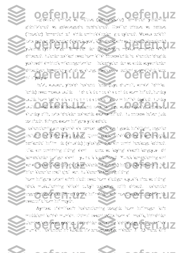 Uglevodlar   amilaza   va   maltoza   (karbogidrazlar)   fermentlari   yordamida
gidrolizlanadi   va   geksozagacha   parchalanadi.   Otssillar   triptaza   va   peptaza
(lipazalar)   fermentlari   ta’-   sirida   aminokislotalar-   g   a   aylanadi.   Maxsus   tarkibli
ozits eydigan hasharotlar (kiyim kuyasi, klet- chatkaxo‘r va boshsa hasharotlarda)
yukorida   aytib   o‘tilgan   fermentlar-   dan   tashkari   yana   maxsus   fermentlar   ishlab
chitsaradi. Bulardan tashkari ovsat hazm kilish protsesslarida ha- sharotlar ichagida
yashovchi simbiotik mikroorganizmlar — bakteriyalar- dan va sodda xayvonlardan
chitsadigan fermentlar yog‘och va shunga o‘xshash ov- qatlarni sazm silishda katta
rol o‘ynaydi. 
Ba’zi,   xususan,   yirtsich   hasharot-   larda   (tuya   chumoli,   xonsizi   lichinka-
larida) ovsat maxsus usulda — i ch a k d a n t a sh s a r i d a xazm bo‘ladi, bunday
usulda hazm bo‘lish e k s t r a p n t e s t i n a l x a z m bo‘lish deyiladi. Bunday
usulda   ovsat   xazm   kilishda   xasharot   ozits   us-   tiga   xazm   suyusligi   chitsaradi,
shunday  qilib,  ozits   ichakdan  tashsarida  «sazm»   bo‘ladi.  Bu   protsess   ba’zan  juda
tez o‘tadn. So‘ngra «xazm bo‘lgan» yoki «chala
Hasharotlarniig  son   aylanish   sis-   temasn   ochits,   son   i   gavda   bo‘shligini,   organlar
oralig‘ini   to‘ldirib,   yuvib   turadi.   Qonni   gavda   bo‘shlig‘ining   elka   tomonida
perikardial   bo‘lim-   da   (sinusida)   joylashgan   elka   son   tomiri   harakatga   keltiradi.
Elka   son   tomirining   oldingi   sismi   —   aorta   va   keyingi   sissarib-kengayuv-   chi
kameralardan   tuzilgan  sismi—  yu  r  a  k  k  a  bo‘linadi     YUrak  kameralarning  soni
sar xil hasharotlarda turlicha (suvaraklarda 13 tagacha) bo‘ladi. Qameralar bir- biri
bilan klapanlar orsali ajral- xan. Bu klapanlar sonning oldingi
hazm bo‘lgan» ozitsni so‘rib oladi: ovsat hazm siladigan suyuslik o‘rta va oldingi
ichak   muskullarining   ishlashi   tufayli   tashsariga   otilib   chitsadi.   Hasharotlar
organizmida turli xil fermentlarning bo‘lnshidan sat’i nazar, xasharot organizmida
ovsat to‘la hazm bo‘lmaydn. 
Aynitssa   o‘simlikxo‘r   hasharotlarning   tezagida   hazm   bo‘lmagan   ko‘p
moddalarni ko‘rish mumkin. Ehtimol ovsatni to‘lits hazm sil- maslik, birinchidan
ularning  ko‘p  ovsat  eyishiga,  ikkinchidan  tanasining  kichikligiga bog‘lits  bo‘lishi
mumkin.   Hasharotlar   bir   sutkada   o‘z   tana   massasiga   nisbatan   2—2,5   marta   ko‘p 