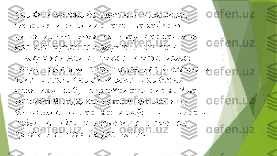 Дар Ф.-и муосир ба омухтани механизми 
фаъолияти равонии одамон ва хайвонот 
диккати калон дода мешавад. Дар халли ин 
масъала муфас-сал омухтани вазифаи 
нимкурахои майна, омухтани механизмхои 
нозуки нейронии рефлексхои шартй ахамияти 
калон дорад. Дар айни замон дар бораи 
механизми хоб, невроз ои эмотсионал  ва ҳ ӣ
та рибав  тад и от гузаронида мешавад. 	
ҷ ӣ қ қ
Маълумоте, ки дар рафти омўзиши иттилооти 
ќабул, интиќол ва коркарди системањои 
гуногуни сенсорї ба даст меояд .                 