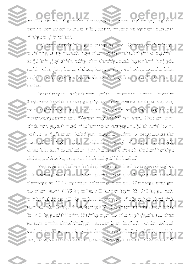 tanaffus   beriladi.   Sigirlardan   olinadigan   buzoqlarni   sog‘lomligi,   tug‘ishni
osonligi   beriladigan   ozuqalar   sifati,   tarkibi,   miqdori   va   sigirlarni   parvarish
qilishga bog‘liq bo‘ladi.
               Qoramollarni bo‘rdoqiga boqish gigiyenasi - Qoramollarni burdoqiga
boqishni ng   asosiy  maqsadi,  hayvonlarni  go‘sht    mahsulorligini  ko‘paytirish.
Xo‘jalikning joylashishi, tabiiy iqlim sharoitiga qarab hayvonlarni   bir joyda
saqlab,   silos,   jom,   barda,   sheluxa,   kunjara,   shrot   va   boshqa   ozuqalar   bilan
boqish   mumkin   yoki   yaylovda   erkin   holida   boqilib   em   ozuqalar   ham   berib
boriladi.
Ixtisoslashgan   xo‘jaliklarda   go‘sht   etishtirish   uchun   buzoqlar
2   oyligidan   boshlab   bo‘rdoqiga   qo‘yiladi.   Bular   maxsus   binolarda   saqlanib,
oxur,   sug‘orish   qurilmasi,   quruq   pol,   to‘shama   va   go‘ngni   yig‘ishtirish
mexanizatsiyalashtiriladi.   YAyrash   maydoni   bo‘lishi   shart.   Oxurlarni   bino
ichida ham, yayrash maydonida ham mexanizatsiyaga muljallab qurish lozim.
Boshqa   xo‘jaliklardan   keltirilgan   buzoqlar   doimo   zoovetmutaxassislar
nazoratida   bo‘ladi.   Ularni   oziqlanishi,   yangi   sharoitga   moslashishi
ko‘zatiladi. Suvli ozuqalardan - jom, barda, ko‘k o‘t va boshqalarni berishga
birdaniga o‘tkazilsa, oshqozon-ichak faoliyati ishi buziladi.
Yaylovda   boqiladigan   bo‘rdoqi   hayvonlar   bir   xil   turdagi,   yoshdagi   va
tirik   vazndagilari   alohida   guruh   qilinadi.   Buzoqlar   2   oyligidan   boshlab
o‘stirishga   va   10-12   oyligidan   bo‘rdoqiga   ajratiladi.   O‘stirishga   ajratilgan
buzoqlarni   vazni   70-75   kg   bo‘lsa,   300   kundan   keyin   220-240   kg   ga   etadi,
bo‘rdoqilashda   esa   300   kg   bo‘ladi.   So‘qimga   boqiladigan   buzoqlarni   tirik
vazni kamida 300 kg bo‘lishi, kuniga 800-1000 gr semirishi va 90 kunda esa
350-400 kg ga etishi lozim. O‘stirilayotgan buzoqlar 6 oyligigacha sut, obrat
va   sutni   o‘rnini   almashtiradigan   ozuqalar   bilan   boqiladi.   Bundan   tashqari
kuniga 1-1,2 kg em va 1 kg gacha shirali ozuqa beriladi, 6 oyligidan boshlab
jom, barda, va boshqa sanoat chiqindilariga o‘rgatib boriladi. YOsh mollar 70 