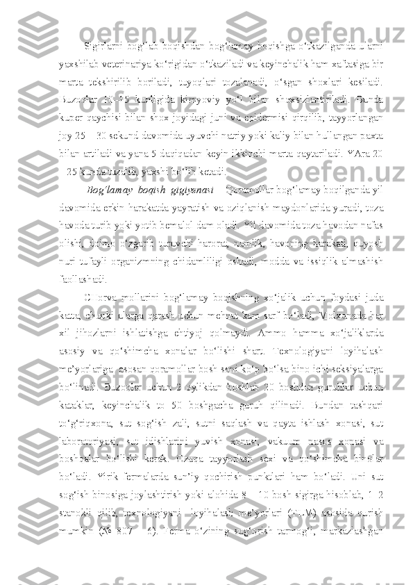 Sigirlarni   bog‘lab   boqishdan   bog‘lamay   boqishga   o‘tkazilganda   ularni
yaxshilab veterinariya ko‘rigidan o‘tkaziladi va keyinchalik ham xaftasiga bir
marta   tekshirilib   boriladi,   tuyoqlari   tozalanadi,   o‘sgan   shoxlari   kesiladi.
Buzoqlar   10–15   kunligida   kimyoviy   yo‘l   bilan   shoxsizlantiriladi.   Bunda
kuper   qaychisi   bilan   shox   joyidagi   juni   va   epidermisi   qirqilib,   tayyorlangan
joy 25 – 30 sekund davomida uyuvchi natriy yoki kaliy bilan hullangan paxta
bilan artiladi va yana 5 daqiqadan keyin ikkinchi marta qaytariladi. YAra 20
– 25 kunda tuzalib, yaxshi bo‘lib ketadi. 
           Bog‘lamay  boqish  gigiyenasi  -  Qoramollar bog‘lamay boqilganda yil
davomida erkin harakatda yayratish va oziqlanish maydonlarida yuradi, toza
havoda turib yoki yotib bemalol dam oladi. Yil davomida toza havodan nafas
olishi,   doimo   o‘zgarib   turuvchi   harorat,   namlik,   havoning   harakati,   quyosh
nuri   tufayli   organizmning   chidamliligi   oshadi,   modda   va   issiqlik   almashish
faollashadi.
CHorva   mollarini   bog‘lamay   boqishning   xo‘jalik   uchun   foydasi   juda
katta,   chunki   ularga   qarash   uchun   mehnat   kam   sarf   bo‘ladi,   Molxonada   har
xil   jihozlarni   ishlatishga   ehtiyoj   qolmaydi.   Ammo   hamma   xo‘jaliklarda
asosiy   va   qo‘shimcha   xonalar   bo‘lishi   shart.   Texnologiyani   loyihalash
me’yorlariga  asosan qoramollar bosh soni ko‘p bo‘lsa bino ichi seksiyalarga
bo‘linadi.   Buzoqlar   uchun   2   oylikdan   boshlab   20   boshdan   guruhlar   uchun
kataklar,   keyinchalik   to   50   boshgacha   guruh   qilinadi.   Bundan   tashqari
to‘g‘riqxona,   sut   sog‘ish   zali,   sutni   saqlash   va   qayta   ishlash   xonasi,   sut
laboratoriyasi,   sut   idishlarini   yuvish   xonasi,   vakuum   nasos   xonasi   va
boshqalar   bo‘lishi   kerak.   Ozuqa   tayyorlash   sexi   va   qo‘shimcha   binolar
bo‘ladi.   Yirik   fermalarda   sun’iy   qochirish   punktlari   ham   bo‘ladi.   Uni   sut
sog‘ish binosiga joylashtirish yoki alohida 8 – 10 bosh sigirga hisoblab, 1–2
stanokli   qilib,   texnologiyani     loyihalash   me’yorlari   (TLM)   asosida   qurish
mumkin   (№   807   –   6).   Ferma   o‘zining   sug‘orish   tarmog‘i,   markazlashgan 