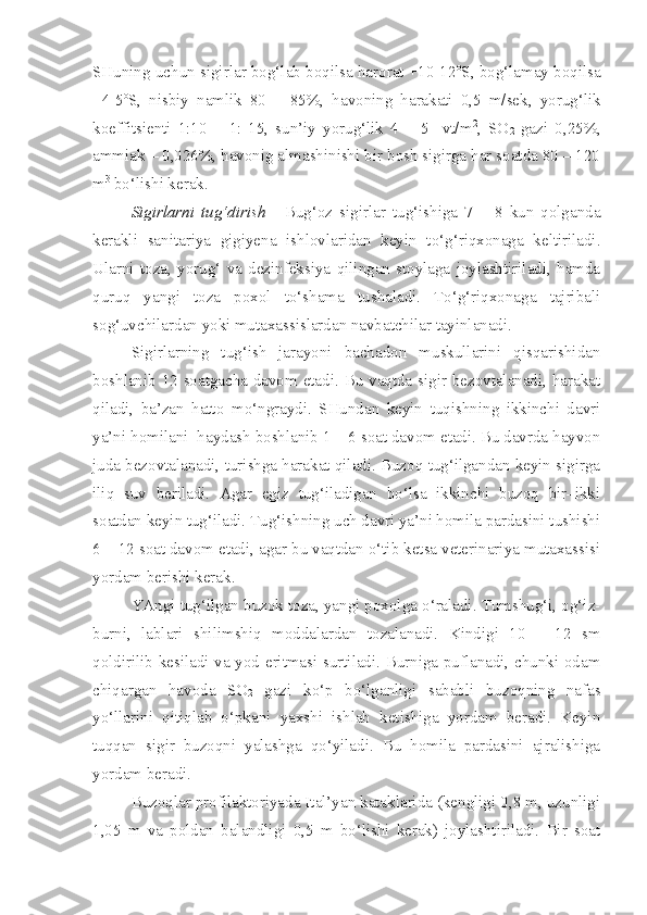 SHuning uchun sigirlar bog‘lab boqilsa harorat +10-12 o
S, bog‘lamay boqilsa
+4-5 o
S,   nisbiy   namlik   80   –   85%,   havoning   harakati   0,5   m/sek,   yorug‘lik
koeffitsienti   1:10   –   1:   15,   sun’iy   yorug‘lik   4   –   5     vt/m 2
,   SO
2   gazi   0,25%,
ammiak – 0,026%, havonig almashinishi bir bosh sigirga har soatda 80 – 120
m 3
 bo‘lishi kerak.
Sigirlarni   tug‘dirish   -   Bug‘oz   sigirlar   tug‘ishiga   7   –   8   kun   qolganda
kerakli   sanitariya   gigiyena   ishlovlaridan   keyin   to‘g‘riqxonaga   keltiriladi.
Ularni   toza,   yorug‘   va   dezinfeksiya   qilingan   stoylaga   joylashtiriladi,   hamda
quruq   yangi   toza   poxol   to‘shama   tushaladi.   To‘g‘riqxonaga   tajribali
sog‘uvchilardan yoki mutaxassislardan navbatchilar tayinlanadi. 
Sigirlarning   tug‘ish   jarayoni   bachadon   muskullarini   qisqarishidan
boshlanib 12 soatgacha davom etadi. Bu vaqtda sigir bezovtalanadi, harakat
qiladi,   ba’zan   hatto   mo‘ngraydi.   SHundan   keyin   tuqishning   ikkinchi   davri
ya’ni homilani  haydash boshlanib 1 – 6 soat davom etadi. Bu davrda hayvon
juda bezovtalanadi, turishga harakat qiladi. Buzoq tug‘ilgandan keyin sigirga
iliq   suv   beriladi.   Agar   egiz   tug‘iladigan   bo‘lsa   ikkinchi   buzoq   bir–ikki
soatdan keyin tug‘iladi. Tug‘ishning uch davri ya’ni homila pardasini tushishi
6 – 12 soat davom etadi, agar bu vaqtdan o‘tib ketsa veterinariya mutaxassisi
yordam berishi kerak. 
YAngi tug‘ilgan buzok toza, yangi poxolga o‘raladi. Tumshug‘i, og‘iz-
burni,   lablari   shilimshiq   moddalardan   tozalanadi.   Kindigi   10   –   12   sm
qoldirilib kesiladi va yod eritmasi surtiladi. Burniga puflanadi, chunki odam
chiqargan   havoda   SO
2   gazi   ko‘p   bo‘lganligi   sababli   buzoqning   nafas
yo‘llarini   qitiqlab   o‘pkani   yaxshi   ishlab   ketishiga   yordam   beradi.   Keyin
tuqqan   sigir   buzoqni   yalashga   qo‘yiladi.   Bu   homila   pardasini   ajralishiga
yordam beradi. 
Buzoqlar profilaktoriyada Ital’yan kataklarida (kengligi 0,8 m, uzunligi
1,05   m   va   poldan   balandligi   0,5   m   bo‘lishi   kerak)   joylashtiriladi.   Bir   soat 