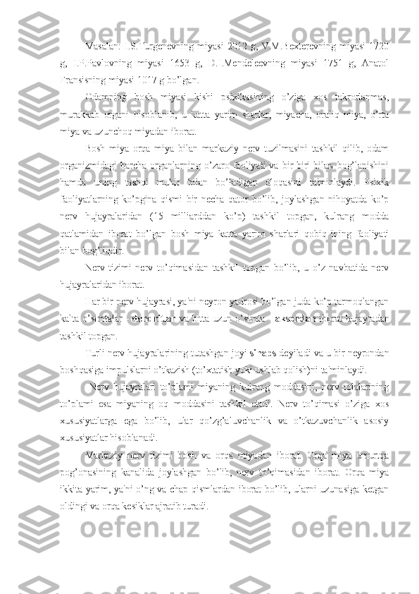 Masalan:   I.S.Turgenevning   miyasi   2012   g,   V.M.Bexterevning   miyasi   1720
g,   I.P.Pavlovning   miyasi   1653   g,   D.I.Mendeleevning   miyasi   1751   g,   Anatol
Fransisning miyasi 1017 g bo’lgan.
Odamning   bosh   miyasi   kishi   psixikasining   o’ziga   xos   takrorlanmas,
murakkab   organi   hisoblanib,   u   katta   yarim   sharlar,   miyacha,   oraliq   miya,   o’rta
miya va uzunchoq miyadan iborat. 
Bosh   miya   orqa   miya   bilan   markaziy   nerv   tuzilmasini   tashkil   qilib,   odam
organizmidagi   barcha   organlarning   o’zaro   faoliyati   va   bir-biri   bilan   bog’lanishini
hamda   uning   tashqi   muhit   bilan   bo’ladigan   aloqasini   ta'minlaydi.   Psixik
faoliyatlarning   ko’pgina   qismi   bir   necha   qator   bo’lib,   joylashgan   nihoyatda   ko’p
nerv   hujayralaridan   (15   milliarddan   ko’p)   tashkil   topgan,   kulrang   modda
qatlamidan   iborat   bo’lgan   bosh   miya   katta   yarim   sharlari   qobiq   ining   faoliyati
bilan bog’liqdir. 
Nerv   tizimi   nerv   to’qimasidan   tashkil   topgan   bo’lib,   u   o’z   navbatida   nerv
hujayralaridan iborat.
Har bir nerv hujayrasi, ya'ni neyron yadrosi bo’lgan juda ko’p tarmoqlangan
kalta o’simtalar -   dendritlar   va bitta uzun o’simta -   aksondan   iborat  hujayradan
tashkil topgan. 
Turli nerv hujayralarining tutashgan joyi  sinaps  deyiladi va u bir neyrondan
boshqasiga impulslarni o’tkazish (to’xtatish yoki ushlab qolish)ni ta'minlaydi.
  Nerv   hujayralari   to’plami   miyaning   kulrang   moddasini,   nerv   tolalarining
to’plami   esa   miyaning   oq   moddasini   tashkil   etadi.   Nerv   to’qimasi   o’ziga   xos
xususiyatlarga   ega   bo’lib,   ular   qo’zg’aluvchanlik   va   o’tkazuvchanlik   asosiy
xususiyatlar hisoblanadi.
Markaziy   nerv   tizimi   bosh   va   orqa   miyadan   iborat.   Orqa   miya   umurtqa
pog’onasining   kanalida   joylashgan   bo’lib,   nerv   to’qimasidan   iborat.   Orqa   miya
ikkita yarim, ya'ni o’ng va chap qismlardan iborat bo’lib, ularni uzunasiga ketgan
oldingi va orqa kesiklar ajratib turadi.  