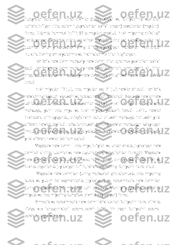 hujayralar   qatlamidan   iborat   qismlar   (qobiq   shakli   va   faoliyatining   vazifalari
turlicha bo’lgan oltita qatlam hujayralaridan tashkil topgan) qavatlardan (maydon) 
iborat. Odamda  hammasi  bo’lib 52 ta maydon mavjud. Bosh  miyaning po’stlog’i
ostida yotgan qismlarini qobiq osti sohasi deyiladi. qobiq osti sohasi va qobiq osti
tutamlari   umumiy   sezuvchanlikning   differensiyalashgan   markazlari   hisoblanadi.
Bu soha bizning emosiyalarimiz va instinktlarimiz bilan bog’langan. 
Periferik   nerv   tizim   markaziy   nerv   tizimi   bilan   ajralmas   yaxlitlikni   tashkil
etadi. Periferik nerv tizimi markaziy nerv tizimidan chiqib, tarmoqlanib, shu bilan
birga   butun   organizmni   markaziy   nerv   tizimi   bilan   bog’lovchi   nervlardan   tashkil
topadi.
Bosh   miyadan   12   juft,   orqa   miyadan   esa   31   juft   nervlar   chiqadi.   Periferik
nervlarning ikki turi: sezuvchi va harakat nervlari farqlanadi. Sezuvchi nervlar nerv
uchlaridagi   tuzilmalarda   ta'sirlovchilar   tufayli   hosil   bo’lgan   qo’zg’alishni
markazga,   ya'ni   orqa   miya   va   bosh   miyaga   yetkazib   beradi.   Ushbu   nervlar
boshqacha   qilib   aytganda,   qo’zg’alishni   qabul   qiluvchi   markazga   intiluvchi   yoki
afferent   nervlar   deyiladi.Harkatlantiruvchi   (motor)   nervlar   markazdan   kelayotgan
impulslarni muskullarga va bezlarga yetkazadi. Bu nervlarni markazdan qochuvchi
yoki efferent nervlar deb ham ataladi.
Vegetativ nerv tizimi - orqa miya bo’ylab va undan chetda joylashgan nerv
tizimlari   alohida tutamlar  va  nerv tugunlarining chigallaridan  iboratdir. Vegetativ
nerv tizimining alohida tutamlari ovqat hazm   qilish, qon aylanish, nafas olish va
boshqa organlarida joylashgan bo’lib, ichki organlarning faoliyatini idora qiladi.
  Vegetativ   nerv   tizimidan   (uning   markazlari   gipotalamusda   orqa   miyaning
kurak   va   yuqori   bel   segmentlarida   joylashgan)   va   parasimpatik   nerv   tizimidan
(uning   markazlari   o’rta   miyadagi   turli   tepalikda   Varoliy   ko’prigida,   uzunchoq
miyada va orqa miyaning dumg’aza qismida joylashgan) iborat.
Simpatik va parasimpatik nerv tizimi  ichki  a'zolar  faoliyatini  idora qilishda
o’ziga   xos   "antagonistlar"   qarama-qarshi   bo’lib,   bir   organ   faoliyatini   qarama-
qarshi holatga keltiradi.  