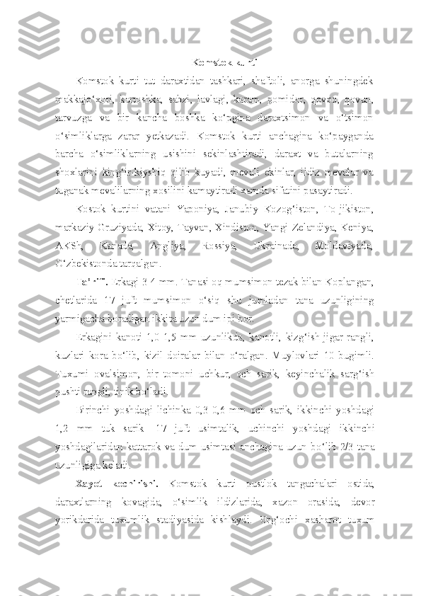 Komstok kurti
Komstok   kurti   tut   daraxtidan   tashkari,   shaftoli,   anorga   shuningdek
makkajo‘xori,   kartoshka,   sabzi,   lavlagi,   karam,   pomi dor,   qovoq,   qovun,
tarvuzga   va   bir   kancha   boshka   ko‘pgina   daraxtsimon   va   o‘tsimon
o‘simliklarga   zarar   yetkazadi.   Komstok   kurti   anchagina   ko‘payganda
barcha   o‘simliklarning   usishini   sekinlashtiradi,   daraxt   va   butalarning
shoxlarini   king‘ir-kiyshiq   qilib   kuyadi,   mevali   ekinlar,   ildiz   mevalar   va
tuganak mevalilarning xosilini kamaytiradi xamda sifatini pasaytiradi.
Kostok   kurtini   vatani   Yaponiya,   Janubiy   Kozog‘iston,   To- jikiston,
markaziy Gruziyada, Xitoy, Tayvan, Xindiston, Yangi   Zelandiya, Keniya,
AKSh,   Kanada,   Angliya,   Rossiya,   Ukrainada,   Moldaviyada,
O‘zbekistonda tarqalgan.
Ta’rifi.  Erkagi 3-4 mm. Tanasi oq mumsimon tezak bilan Koplangan,
chetlarida   17   juft   mumsimon   o‘siq   shu   jumladan   tana   uzunligining
yarmigacha boradigan ikkita uzun dum ipi bor.
Erkagini   kanoti   1,0-1,5   mm   uzunlikda,   kanotli,   kiz g‘ ish-jigar   rangli,
kuzlari   kora   b o‘ lib,   kizil   doiralar   bilan   o‘ ralgan.   Muylovlari   10   bugimli.
Tuxumi   ovalsimon,   bir   tomoni   uchkur,   och   sarik,   keyinchalik   sar g‘ ish
pushti rangli, tinik b o‘ ladi.
Birinchi   yoshdagi   lichinka   0,3-0,6   mm   och   sarik,   ikkinchi   yoshdagi
1,2   mm   tuk   sarik-   17   juft   usimtalik,   uchinchi   yoshdagi   ik kinchi
yoshdagilaridan kattarok va dum usimtasi anchagina uzun b o‘ lib 2/3 tana
uzunligiga keladi.
Xayot   kechirishi.   Komstok   kurti   pustlok   tangachalari   ostida,
daraxtlarning   kovagida,   o‘simlik   ildizlarida,   xazon   orasida,   devor
yorikdarida   tuxumlik   stadiyasida   kishlaydi.   Ur g‘ ochi   xasharot   tuxum 