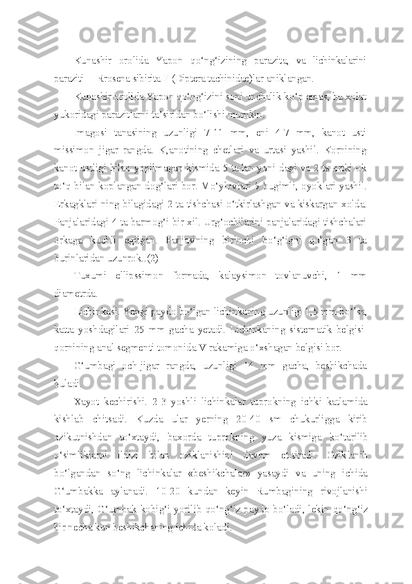 Kunashir   orolida   Yapon   qo‘ n g‘ izining   parazita ,   va   lichinkalarini
paraziti —R rosena   sibirita   F  ( Diptera   tachinidae )lar aniklangan.
Kunashir orolida Yapon qo‘ng‘izini soni unchalik k o‘ p emas, bu xolat
yuk o ridagi parazitlarni ta’siridan b o‘ lishi mumkin.
Imagosi   tanasining   uzunligi   7-11   mm,   eni   4-7   mm,   kanot   usti
missimon   jigar   rangda.   K,anotining   chetlari   va   urtasi   yashil.   Kornining
kanot ustligi bilan yopilmagan kismida 5 tadan yoni-dagi va 2 ta ortki ok
t o‘q   bilan k o plangan do g‘ lari bor. M o‘ ylovlari 9 bugimli, oyok l ari yashil.
Erkagklari ning bilagidagi 2 ta tishchasi   o‘ tkirlashgan va kiskargan x ol da.
Panjalaridagi 4 ta barmo g‘ i bir xil. Ur g‘ ochilarini panjalaridagi tishchalari
orkaga   kuchli   egilgan.   Panjasining   birinchi   b o‘g‘ign i   qo lgan   3   ta
burinlaridan uzunrok..(2)
Tuxumi   ellipssimon   formada,   kalaysimon   tovlanuvchi,   1   mm
diametrda.
Lichinkasi. Yangi paydo b o‘ lgan lichinkaning uzunligi 1,5 mm b o‘ lsa,
katta   yoshdagilari   25   mm   gacha   yetadi.   Lichinkaning   sistema tik   belgisi-
qor nining anal segmenti tomonida  V  rakamiga  o‘ xshagan belgisi bor.
G‘ umbagi   och-jigar   rangda,   uzunligi   14   mm   gacha,   beshikchada
buladi.
Xayot   kechirishi.   2-3   yoshli   lichinkalar   tuprokning   ichki   katlamida
kishlab   chitsadi.   Kuzda   ular   yerning   20-40   sm   chukurligga   kirib
ozikutnishdan   t o‘ xtaydi,   baxorda   tuprokning   yuza   kismiga   k o‘ tarilib
o‘ simliklarni   ildizi   bilan   oziklanishini   davom   et-tiradi.   Ozik l anib
b o‘ lgandan   s o‘ ng   lichinkalar   «beshikchalar»   yasaydi   va   uning   ichida
G‘ umbakka   aylanadi.   10-20   kundan   keyin   Rumbagining   rivojlanishi
t o‘ xtaydi, G‘umbak k o bi g‘ i yorilib   qo‘ n g‘ iz paydo b o‘ ladi, lekin   qo‘ n g‘ iz
bir necha kun beshikchaning ichida k o ladi. 