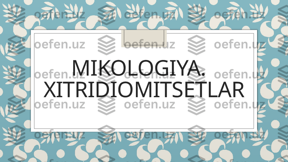 MIKOLOGIYA.  
XITRIDIOMITSETLAR   