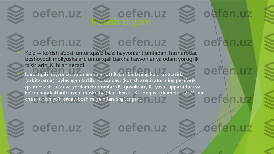                          Kòrish organi

Koʻz  — koʻrish aʼzosi; umurtqasiz baʼzi hayvonlar (jumladan, hasharotlar, 
boshoyoqli mollyuskalar), umurtqali barcha hayvonlar va odam yorugʻlik 
taʼsirlarini K. bilan sezadi

Umurtqali hayvonlar va odamning juft K.lari kallaning ko z kosalarida ʻ
(orbitalarda) joylashgan bo lib, K. soqqasi (ko rish analizatorining periferik 	
ʻ ʻ
qismi — asli ko z) va yordamchi qismlar (K. qovoklari, K. yoshi apparatlari va 	
ʻ
ko zni harakatlantiruvchi muskullar)dan iborat. K. soqqasi (diametri 22–24 mm 	
ʻ
cha) ko rish yo li orqali bosh miya bilan bog langan.	
ʻ ʻ ʻ 