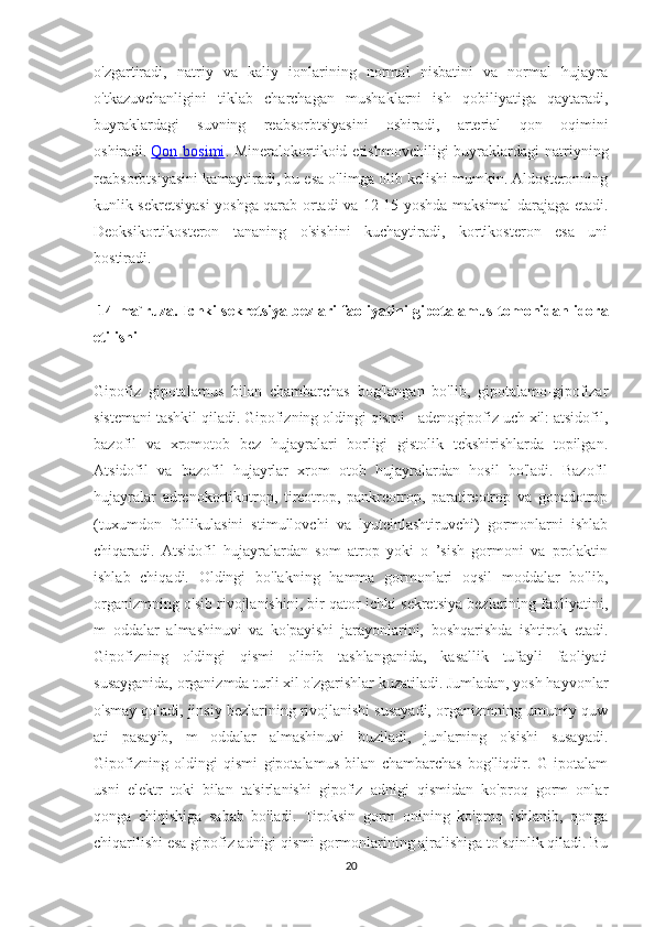 o'zgartiradi,   natriy   va   kaliy   ionlarining   normal   nisbatini   va   normal   hujayra
o'tkazuvchanligini   tiklab   charchagan   mushaklarni   ish   qobiliyatiga   qaytaradi,
buyraklardagi   suvning   reabsorbtsiyasini   oshiradi,   arterial   qon   oqimini
oshiradi.   Qon bosimi . Mineralokortikoid etishmovchiligi  buyraklardagi  natriyning
reabsorbtsiyasini kamaytiradi, bu esa o'limga olib kelishi mumkin. Aldosteronning
kunlik sekretsiyasi yoshga qarab ortadi va 12-15 yoshda maksimal darajaga etadi.
Deoksikortikosteron   tananing   o'sishini   kuchaytiradi,   kortikosteron   esa   uni
bostiradi.
 14-ma`ruza.  Ichki sekretsiya bezlari faoliyatini gipotalamus t omonidan idora
etilishi
Gipofiz   gipotalamus   bilan   chambarchas   bog'langan   bo'lib,   gipotalamo-gipofizar
sistemani tashkil qiladi. Gipofizning oldingi qismi - adenogipofiz uch xil: atsidofil,
bazofil   va   xromotob   bez   hujayralari   borligi   gistolik   tekshirishlarda   topilgan.
Atsidofil   va   bazofil   hujayrlar   xrom   otob   hujayralardan   hosil   bo'ladi.   Bazofil
hujayralar   adrenokortikotrop,   tireotrop,   pankreotrop,   paratireotrop   va   gonadotrop
(tuxumdon   follikulasini   stimullovchi   va   lyuteinlashtiruvchi)   gormonlarni   ishlab
chiqaradi.   Atsidofil   hujayralardan   som   atrop   yoki   o   ’sish   gormoni   va   prolaktin
ishlab   chiqadi.   Oldingi   bo'lakning   hamma   gormonlari   oqsil   moddalar   bo'lib,
organizmning o'sib rivojlanishini, bir qator ichki sekretsiya bezlarining faoliyatini,
m   oddalar   almashinuvi   va   ko'payishi   jarayonlarini,   boshqarishda   ishtirok   etadi.
Gipofizning   oldingi   qismi   olinib   tashlanganida,   kasallik   tufayli   faoliyati
susayganida, organizmda turli xil o'zgarishlar kuzatiladi. Jumladan, yosh hayvonlar
o'smay qoladi, jinsiy bezlarining rivojlanishi susayadi, organizmning umumiy quw
ati   pasayib,   m   oddalar   almashinuvi   buziladi,   junlarning   o'sishi   susayadi.
Gipofizning   oldingi   qismi   gipotalamus   bilan   chambarchas   bog'liqdir.   G   ipotalam
usni   elektr   toki   bilan   ta'sirlanishi   gipofiz   adnigi   qismidan   ko'proq   gorm   onlar
qonga   chiqishiga   sabab   bo'ladi.   Tiroksin   gorm   onining   ko'proq   ishlanib,   qonga
chiqarilishi esa gipofiz adnigi qismi gormonlarining ajralishiga to'sqinlik qiladi. Bu
20 