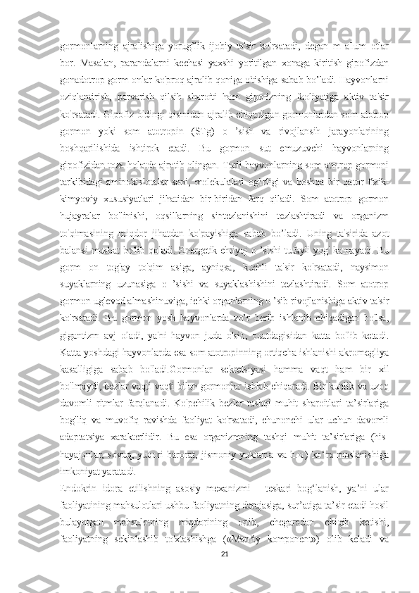 gormonlarning   ajralishiga   yorug’lik   ijobiy   ta'sir   ko'rsatadi,   degan   m   a'lum   otlar
bor.   Masalan,   parandalarni   kechasi   yaxshi   yoritilgan   xonaga   kiritish   gipofizdan
gonadotrop gorm onlar ko'proq ajralib qoniga o'tishiga sabab bo’ladi. Hayvonlarni
oziqlantirish,   parvarish   qilsih   sharoiti   ham   gipofizning   faoliyatiga   aktiv   ta'sir
ko'rsatadi. Gipofiz oldingi qismidan ajralib chiqadigan gormonlardan som  atotrop
gormon   yoki   som   atotropin   (STg)   o   ’sish   va   rivojlansih   jarayonlarining
boshqarilishida   ishtirok   etadi.   Bu   gormon   sut   emuzuvchi   hayvonlarning
gipofizidan toza holatda ajratib olingan. Turli hayvonlarning som atotrop gormoni
tarkibidagi   aminokislotalar   soni,   molekulalari   og'irligi   va   boshqa   bir   qator   fizik-
kimyoviy   xususiyatlari   jihatidan   bir-biridan   farq   qiladi.   Som   atotrop   gormon
hujayralar   bo'linishi,   oqsillarning   sintezlanishini   tezlashtiradi   va   organizm
to'qimasining   miqdor   jihatdan   ko'payishiga   sabab   bo’ladi.   Uning   ta'sirida   azot
balansi  musbat  bo'lib qoladi. Energetik ehtiyoj  o ’sishi  tufayli  yog' kamayadi. Bu
gorm   on   tog'ay   to'qim   asiga,   ayniqsa,   kuchli   ta'sir   ko'rsatadi,   naysimon
suyaklarning   uzunasiga   o   ’sishi   va   suyaklashishini   tezlashtiradi.   Som   atotrop
gormon uglevod almashinuviga, ichki organlarning o ’sib rivojlanishiga aktiv ta'sir
ko'rsatadi.   Bu   gormon   yosh   hayvonlarda   zo’r   berib   ishlanib   chiqadigan   bo'lsa,
gigantizm   avj   oladi,   ya'ni   hayvon   juda   o'sib,   odatdagisidan   katta   bo'lib   ketadi.
Katta yoshdagi hayvonlarda esa som atotropinning ortiqcha ishlanishi akromegliya
kasalligiga   sabab   bo'ladi. Gormonlar   sekretsiyasi   hamma   vaqt   ham   bir   xil
bo'lmaydi, bezlar vaqti-vaqti bilan gormonlar ishlab chiqaradi. Bir kunlik va uzoq
davomli   ritmlar   farqlanadi.   Ko'pchilik   bezlar   tashqi   muhit   sharoitlari   ta’sirlariga
bog'liq   va   muvofiq   ravishda   faoliyat   ko'rsatadi,   chunonchi   ular   uchun   davomli
adaptatsiya   xarakterlidir.   Bu   esa   organizmning   tashqi   muhit   ta’sirlariga   (his-
hayajonlar,   sovuq,   yuqori   harorat,   jismoniy   yuklama   va   h.k.)   ko‘ra   moslanishiga
imkoniyat yaratadi. 
Endokrin   idora   etilishning   asosiy   mexanizmi   -   teskari   bog‘lanish,   ya’ni   ular
faoliyatining mahsulotlari ushbu faoliyatning darajasiga, sur’atiga ta’sir etadi hosil
bulayotgan   mahsulotning   miqdorining   ortib,   chegaradan   chiqib   ketishi,
faoliyatning   sekinlashib   to'xtashishga   («Manfiy   komponent»)   olib   keladi   va
21 