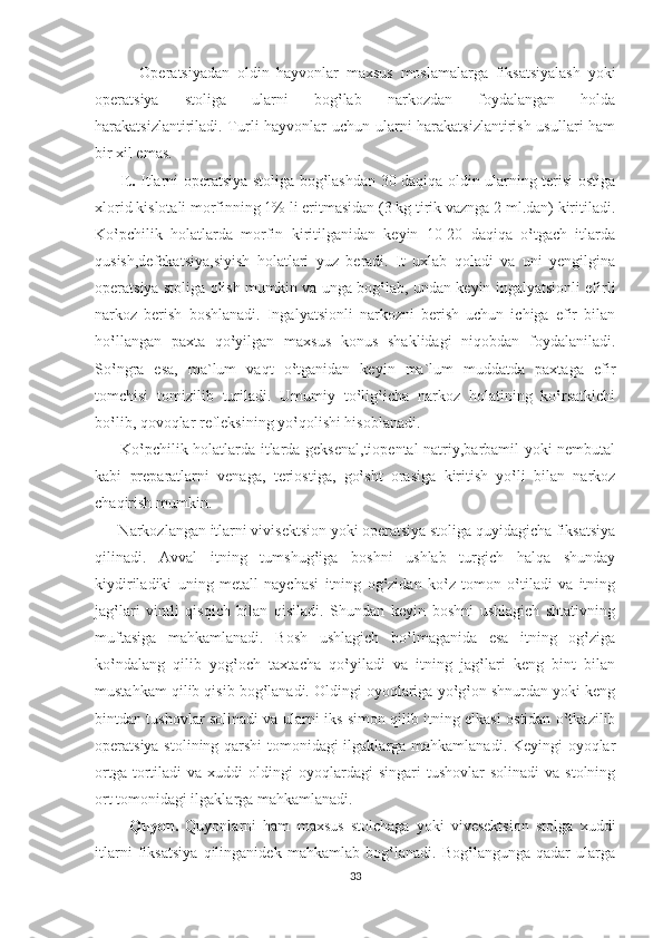             Operatsiyadan   oldin   hayvonlar   maxsus   moslamalarga   fiksatsiyalash   yoki
operatsiya   stoliga   ularni   bog‛lab   narkozdan   foydalangan   holda
harakatsizlantiriladi. Turli hayvonlar uchun ularni harakatsizlantirish usullari ham
bir xil emas.
         It.   Itlarni operatsiya stoliga bog‛lashdan 30 daqiqa oldin ularning terisi ostiga
xlorid kislotali morfinning 1% li eritmasidan (3 kg tirik vaznga 2 ml.dan) kiritiladi.
Ko‛pchilik   holatlarda   morfin   kiritilganidan   keyin   10-20   daqiqa   o‛tgach   itlarda
qusish,defekatsiya,siyish   holatlari   yuz   beradi.   It   uxlab   qoladi   va   uni   yengilgina
operatsiya stoliga olish mumkin va unga bog‛lab, undan keyin ingalyatsionli efirli
narkoz   berish   boshlanadi.   Ingalyatsionli   narkozni   berish   uchun   ichiga   efir   bilan
ho‛llangan   paxta   qo‛yilgan   maxsus   konus   shaklidagi   niqobdan   foydalaniladi.
So‛ngra   esa,   ma`lum   vaqt   o‛tganidan   keyin   ma`lum   muddatda   paxtaga   efir
tomchisi   tomizilib   turiladi.   Umumiy   to‛lig‛icha   narkoz   holatining   ko‛rsatkichi
bo‛lib, qovoqlar refleksining yo‛qolishi hisoblanadi.
         Ko‛pchilik holatlarda itlarda geksenal,tiopental-natriy,barbamil yoki nembutal
kabi   preparatlarni   venaga,   teriostiga,   go‛sht   orasiga   kiritish   yo‛li   bilan   narkoz
chaqirish mumkin. 
      Narkozlangan itlarni vivisektsion yoki operatsiya stoliga quyidagicha fiksatsiya
qilinadi.   Avval   itning   tumshug‛iga   boshni   ushlab   turgich   halqa   shunday
kiydiriladiki   uning   metall   naychasi   itning   og‛zidan   ko‛z   tomon   o‛tiladi   va   itning
jag‛lari   vintli   qisqich   bilan   qisiladi.   Shundan   keyin   boshni   ushlagich   shtativning
muftasiga   mahkamlanadi.   Bosh   ushlagich   bo‛lmaganida   esa   itning   og‛ziga
ko‛ndalang   qilib   yog‛och   taxtacha   qo‛yiladi   va   itning   jag‛lari   keng   bint   bilan
mustahkam qilib qisib bog‛lanadi. Oldingi oyoqlariga yo‛g‛on shnurdan yoki keng
bintdan tushovlar solinadi va ularni iks-simon qilib itning elkasi ostidan o‛tkazilib
operatsiya stolining qarshi  tomonidagi ilgaklarga mahkamlanadi. Keyingi oyoqlar
ortga  tortiladi   va  xuddi   oldingi   oyoqlardagi  singari  tushovlar   solinadi   va  stolning
ort tomonidagi ilgaklarga mahkamlanadi.
          Quyon.   Quyonlarni   ham   maxsus   stolchaga   yoki   vivesektsion   stolga   xuddi
itlarni   fiksatsiya   qilinganidek   mahkamlab   bog‛lanadi.   Bog‛langunga   qadar   ularga
33 