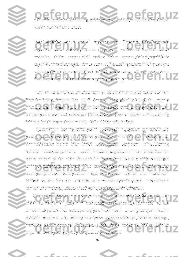 tishlarida   qoramtir   ko‛ndalang   chiziqlar   hosil   bo‛ladi,moddalar   almashinuvi
keskin buzilishi aniqlanadi.
Ishni   bajarish   uchun   kerakli   hayvonlar   va     jihozlar:   Jadvallar,mayda
hayvonlar   uchun   operatsiya   stolchasi,oyoqlarni   mahkamlab   bog‛lash   uchun
rezinalar,   shisha   qopqoq,efirli   narkoz   uchun   qopqoq,skalpel,qaychi,ko‛z
qaychisi, pintsetlar,mayda o‛tmas qarmoq, ligaturali igna,jarrohlik ignasi,igna
uchlagichlar,tikish   materiali   (ipak   ketgut),narkoz   uchun   efir,spirt,paxta,vazni
60-120 g bo‛lgan kalamushlar va voyaga yetgan quyonlar.    
    
           Turli sinflarga mansub umurtqalilarning   qalqonsimon bezlari tashqi tuzilishi
jihatidan   jiddiy   darajada   farq   qiladi.   Ammo,   uning   gistologik   tuzilishi   umumiy
jihatdan   juda   o‛xshash.   Qalqonsimon   bez   bir   qavatli   epitelial   hujayralardan   hosil
bo‛lgan yopiq bezli pufakchalardan (follikulalardan) tashkil topgan bo‛lib, ularning
ichidagi bo‛shliq yopishqoq modda –kolloid bilan to‛la bo‛ladi.
          Qalqonsimon   bezning   epiteliyasini   follikulyarli   hujayralari   qon   tarkibidagi
yodni   jadal   ravishda   ushlab   qoladi   va   yodlangan   aminokislotalarni   sintez   qiladi.
Aminokislotalar   bir-biri   bilan   birikib   uzun   peptidli   zanjirlarni   follikulalarning
kolloid   moddasida   jamlanib   –oqsilli   modda-tireoglobulinni   hosil   qiladi.Gormon
qonga   chiqarilishidan   oldin   tireoglobulin   fermentlar   ta`sirida   alohida   yodlangan
aminokislotalarga   parchalanadi.   Ular   orasida   organizmga   kuchli   ta`sir   ko‛rsatish
qobiliyatiga tiroksin  va triyodtironin ega.  Tiroksin qon oqsillari  bilan mustahkam
birikadi   va   shu   bois   qon   tarkibida   uzoq   muddat   aylanib   yuradi.   Triyodtironin
qondan to‛qimalarga juda tez o‛tadi va hujayralarga ta`sir ko‛rsatadi.
         Qalqonsimon bez gormonlari organizmga juda xilma-xil ta`sir ko‛rsatadi. Ular
o‛sish   va   rivojlanish   jarayonini   boshqaradi,   oqsil,uglevod,yog‛,mineral   va   suv
almashinuviga ta`sir ko‛rsatadi, energiya almashinuvini  umumiy darajasini  kuchli
oshishini chaqiradi. Ular terining holatiga va uning hosilalariga,tishlarga, skeletga,
markaziy   asab   tizimining   faoliyatiga,   yurak,   jinsiy   bezlar   va   boshqa   ko‛plab
organlar funktsiyalariga jiddiy darajada ta`sir ko‛rsatadi.
39 