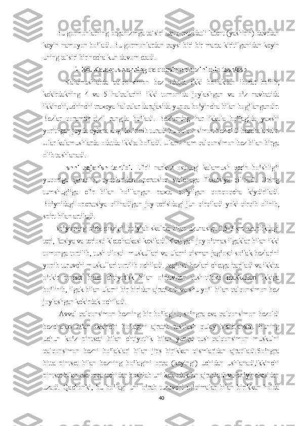            Bu gormonlarning organizmga ta`siri uzoq muddatli latent (yashirin) davrdan
keyin namoyon bo‛ladi. Bu gormonlardan qaysi biri bir marta kiritilganidan keyin
uning ta`siri bir necha kun davom etadi.
1-ish. Kalamushlarning qalqonsimon bezini olib tashlash
          Kalamushlarda   qalqonsimon   bez   odatda   ikki   bo‛lakdan   iborat   bo‛lib,
kekirdakning   4   va   5   halqalarini   ikki   tomonida   joylashgan   va   o‛z   navbatida
ikkinchi,uchinchi traxeya halqalar darajasida yupqa bo‛yincha bilan bog‛langandir.
Bezlar   qoramtir-qizil   rangda   bo‛ladi.   Bezlarning   har   ikkala   bo‛lagida   yaxshi
yoritilgan joyda aylana dog‛ ko‛rinib turadi-bu qalqonsimon bez oldi bezchalaridir.
Ular kalamushlarda odatda ikkita bo‛ladi. Ularni ham qalqonsimon bez bilan birga
olib tashlanadi.
            Ishni   bajarish   tartibi.   Efirli   narkoz   ostidagi   kalamush   qorin   bo‛shlig‛i
yuqoriga   qaratilib,   oyoqlaridan   operatsion   stolchaga   fiksatsiya   qilinadi.   Uning
tumshug‛iga   efir   bilan   ho‛llangan   paxta   qo‛yilgan   qopqoqcha   kiydiriladi.
Bo‛ynidagi   operatsiya   qilinadigan   joy   terisidagi   jun   qirqiladi   yoki   qirqib   olinib,
spirt bilan artiladi.
      Bo‛yinning o‛rta chizig‛i bo‛ylab skalpel bilan uzunasiga 2,5-3 sm uzunlikdagi
teri, fatsiya va teriosti kletchatkasi kesiladi. Kesilgan joy o‛tmas ilgaklar bilan ikki
tomonga tortilib, tush-tilosti   muskullari va ularni qisman jag‛osti so‛lak bezlarini
yopib turuvchi muskullari tortilib ochiladi. Jag‛osti bezlari chetga itariladi va ikkita
o‛tkir   pintset   bilan   ehtiyotlik   bilan   o‛rtasidan   tush-tilosti   muskullari   ikkiga
bo‛linib, ilgak bilan ularni bir-biridan ajratiladi va shu yo‛l bilan qalqonsimon bez
joylashgan kekirdak ochiladi.
            Avval   qalqonsimon   bezning   bir   bo‛lagini,   so‛ngra   esa   qalqonsimon   bezoldi
bezchalari   bilan   ikkinchi   bo‛lagini   ajratib   tashlash   qulay   hisoblanadi.   Buning
uchun   ko‛z   pintseti   bilan   ehtiyotlik   bilan   yupqa   tush-qalqonsimon   muskulni
qalqonsimon   bezni   bo‛laklari   bilan   jips   birikkan   qismlaridan   ajratiladi.So‛ngra
bitta   pintset   bilan   bezning   bo‛lagini   orqa   (keyingi)   uchidan   ushlanadi,ikkinchi
pintset bilan esa orqa uchidan boshlab uni kekirdakdan ajratiladi va bo‛yinchasidan
uzadi.   Qachonki,   bu   bo‛lagi   uni   o‛rab   turuvchi   to‛qimalar   bilan   birikkan   holda
40 